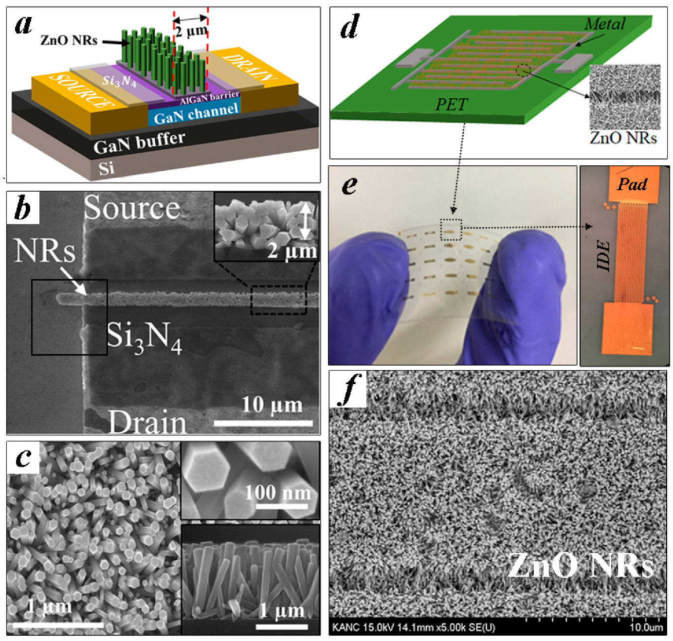 Nanomaterials 11 02011 g001