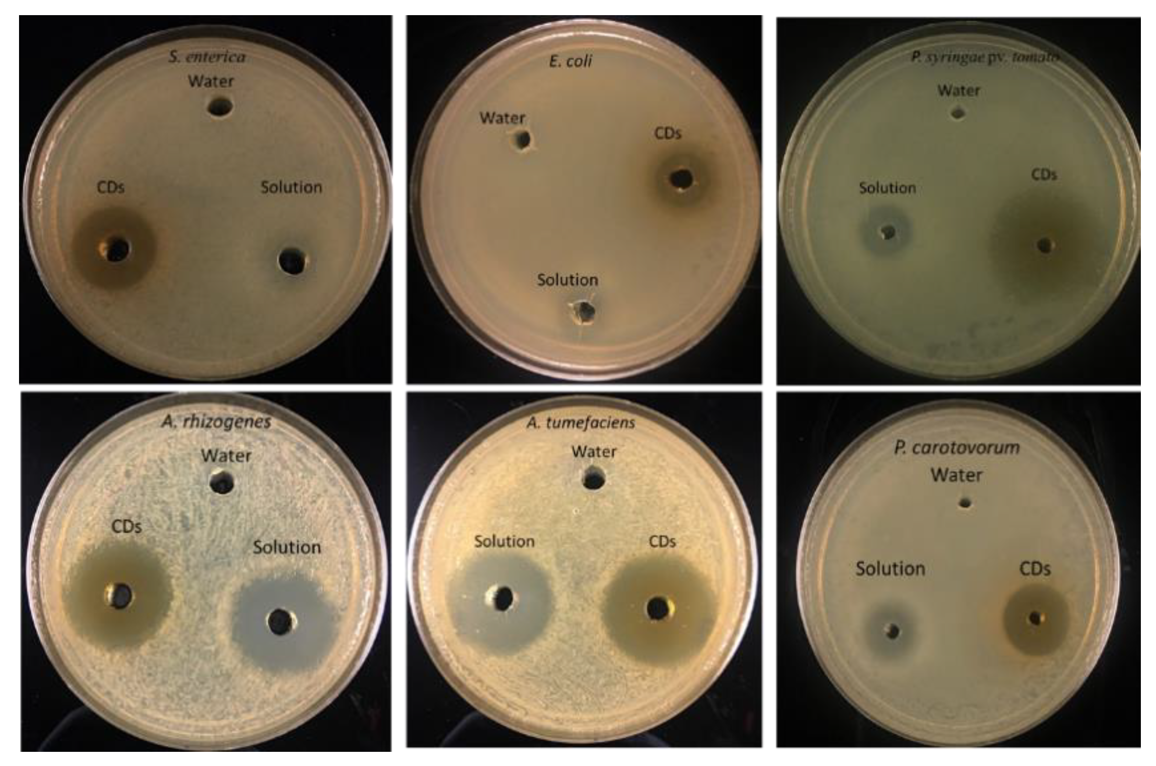 Nanomaterials 11 02012 g005