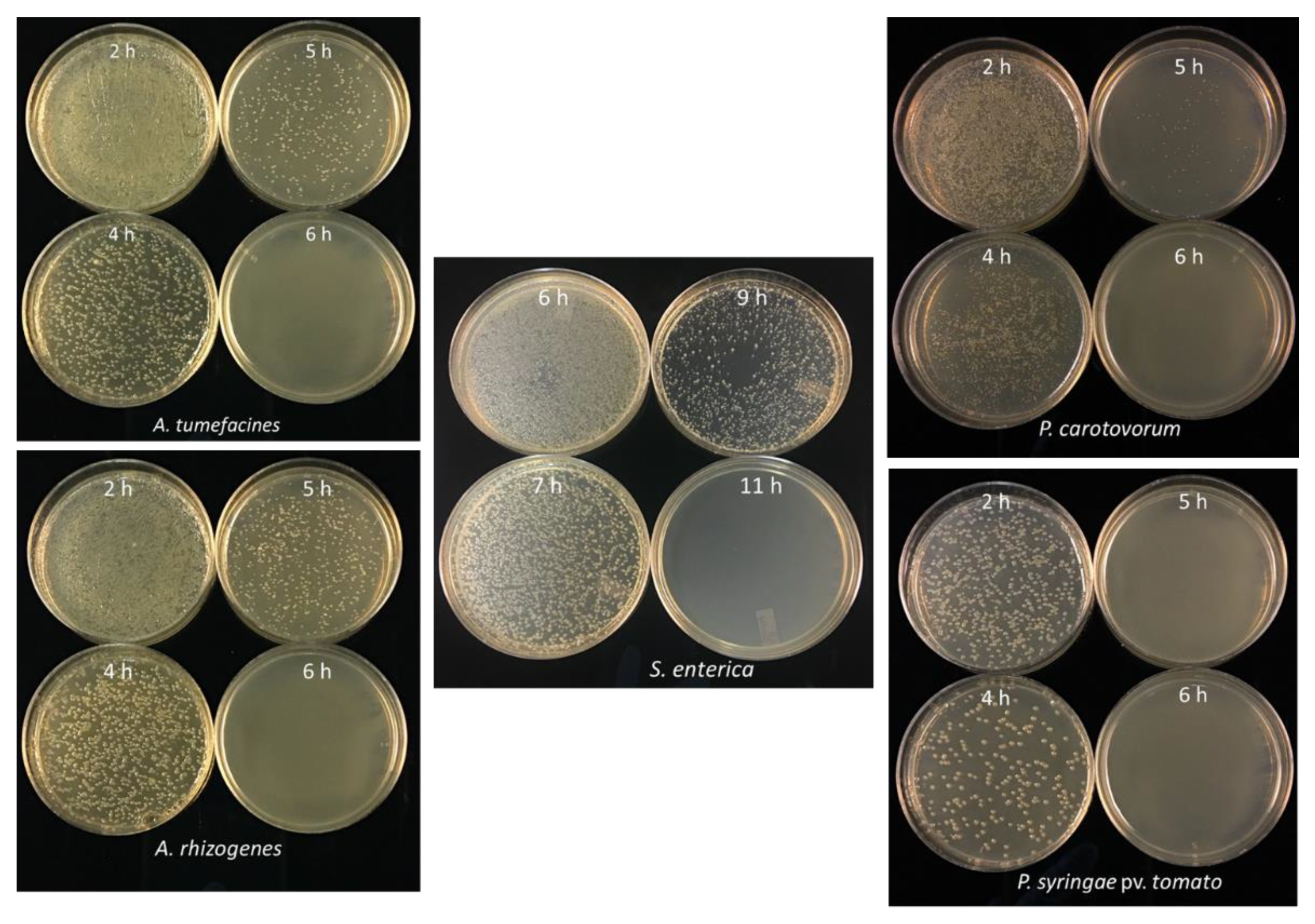 Nanomaterials 11 02012 g010