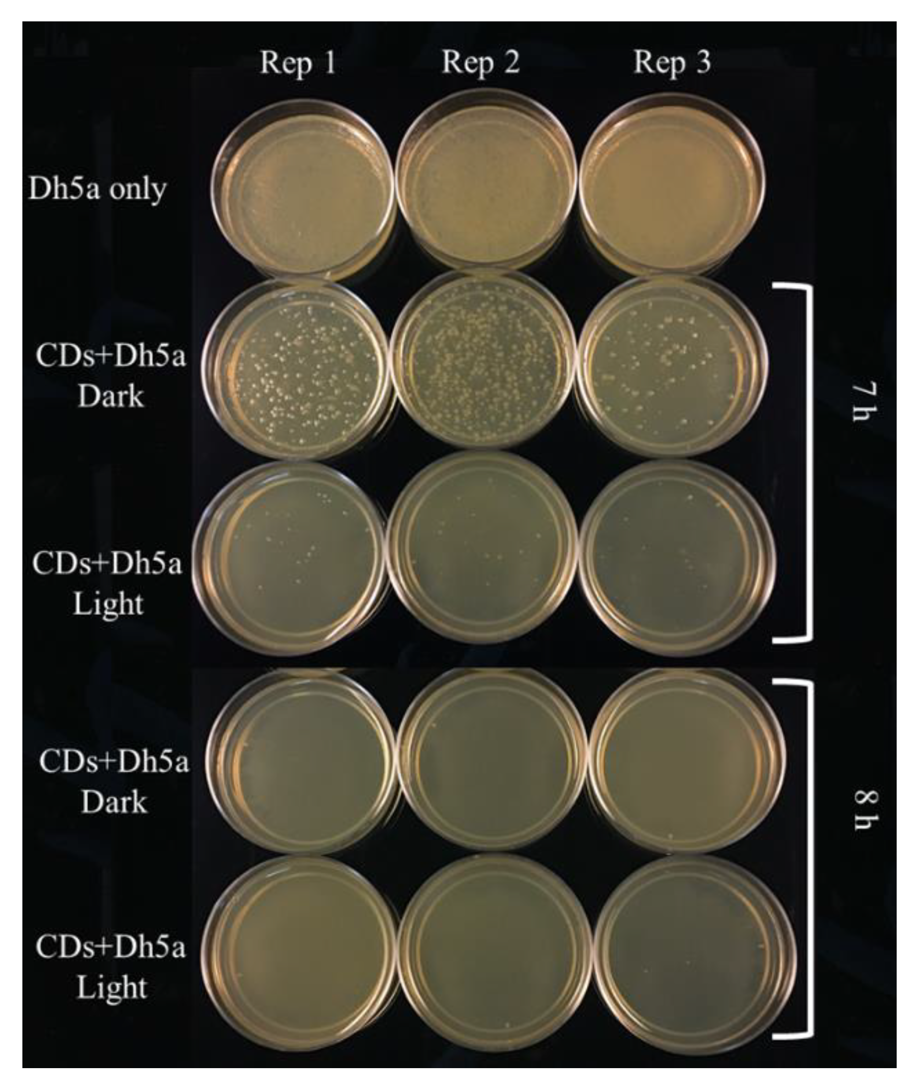 Nanomaterials 11 02012 g011