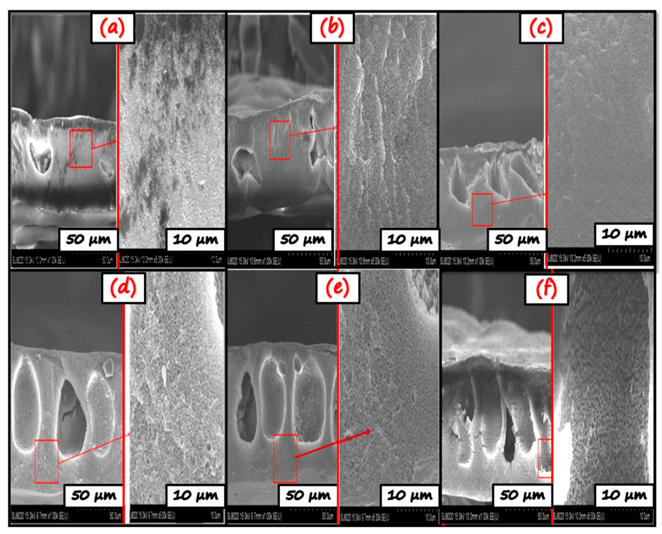 Nanomaterials 11 02021 g008