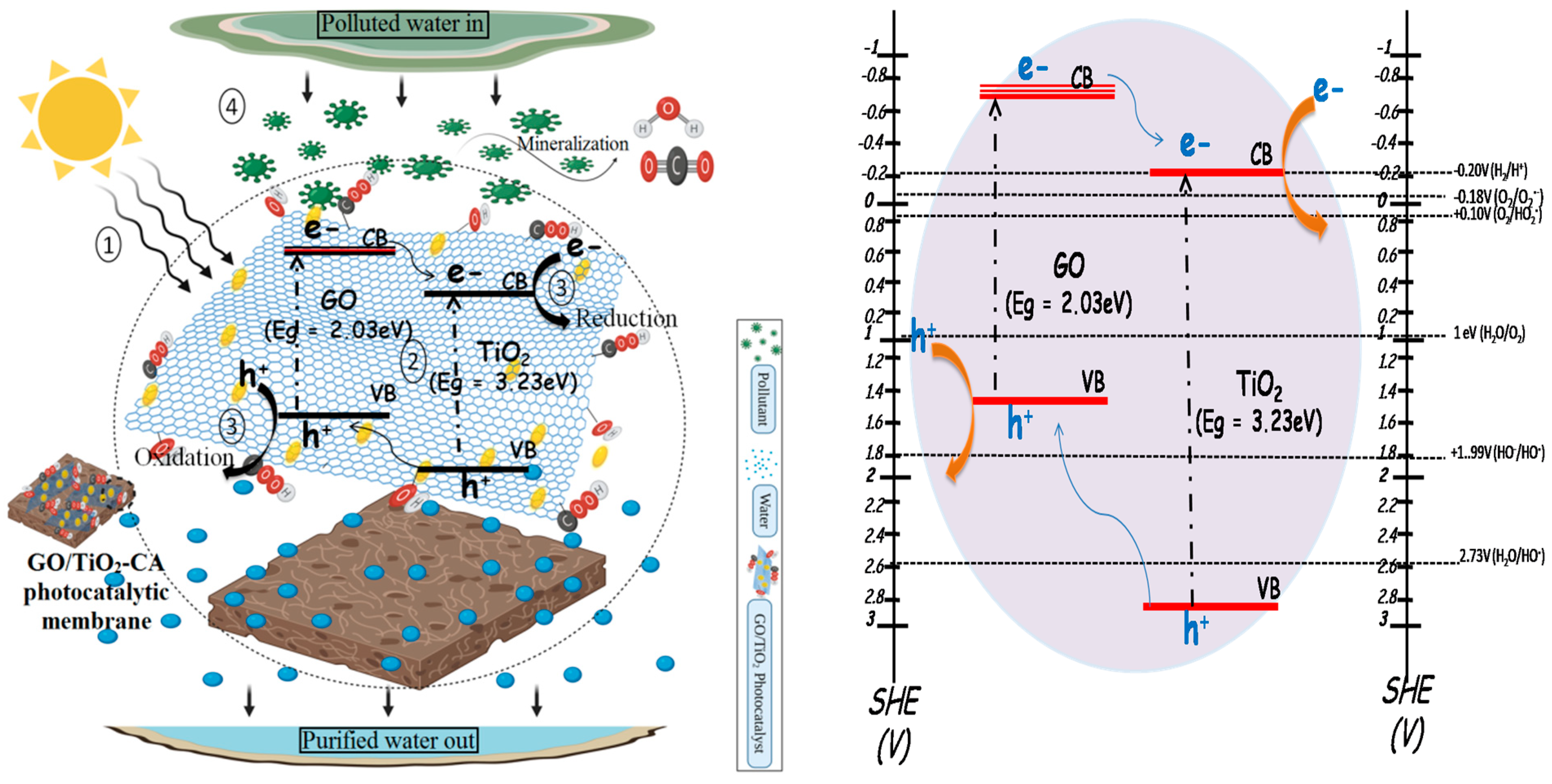 Nanomaterials 11 02021 g012