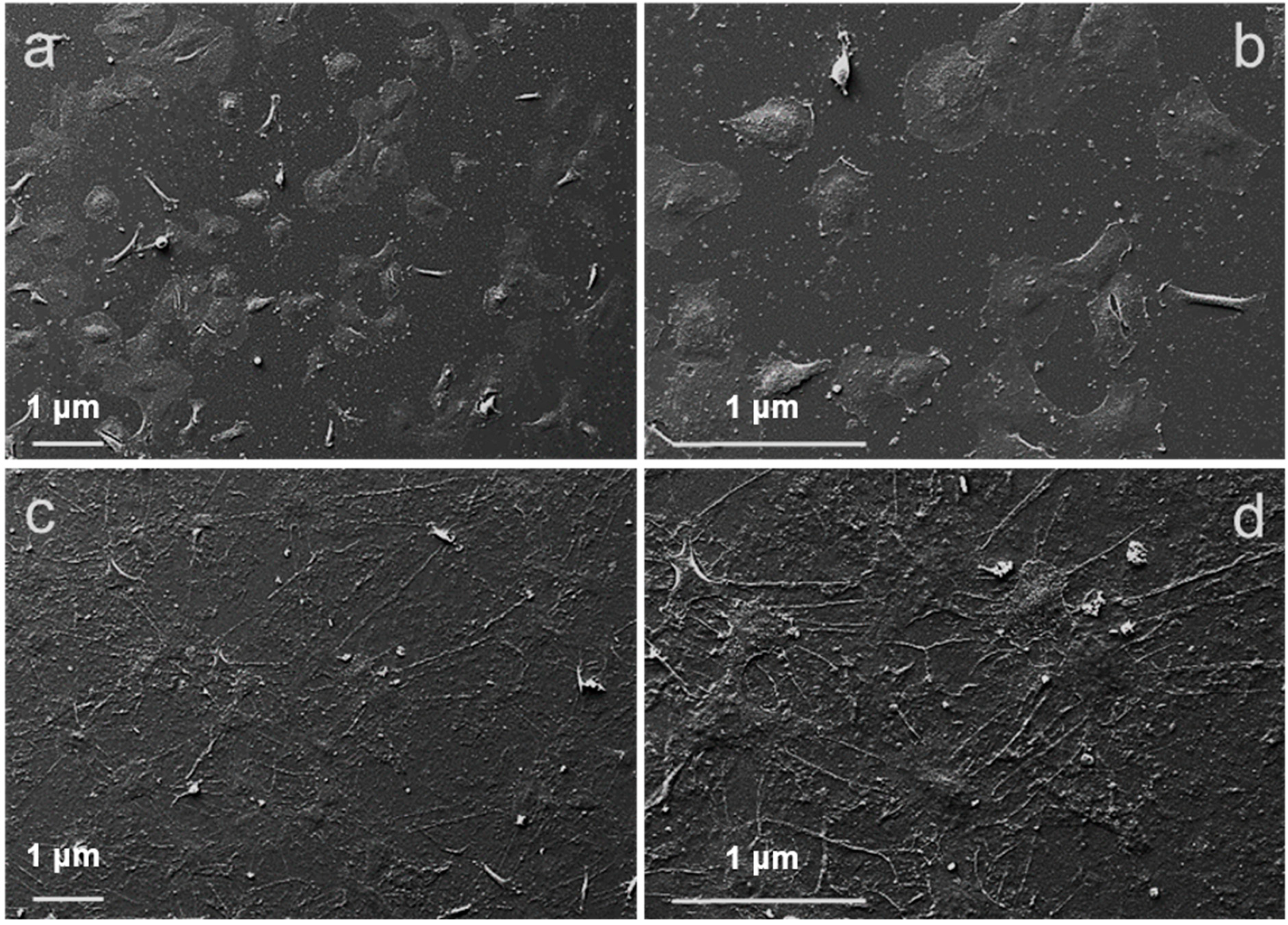 Nanomaterials 11 02022 g002 550