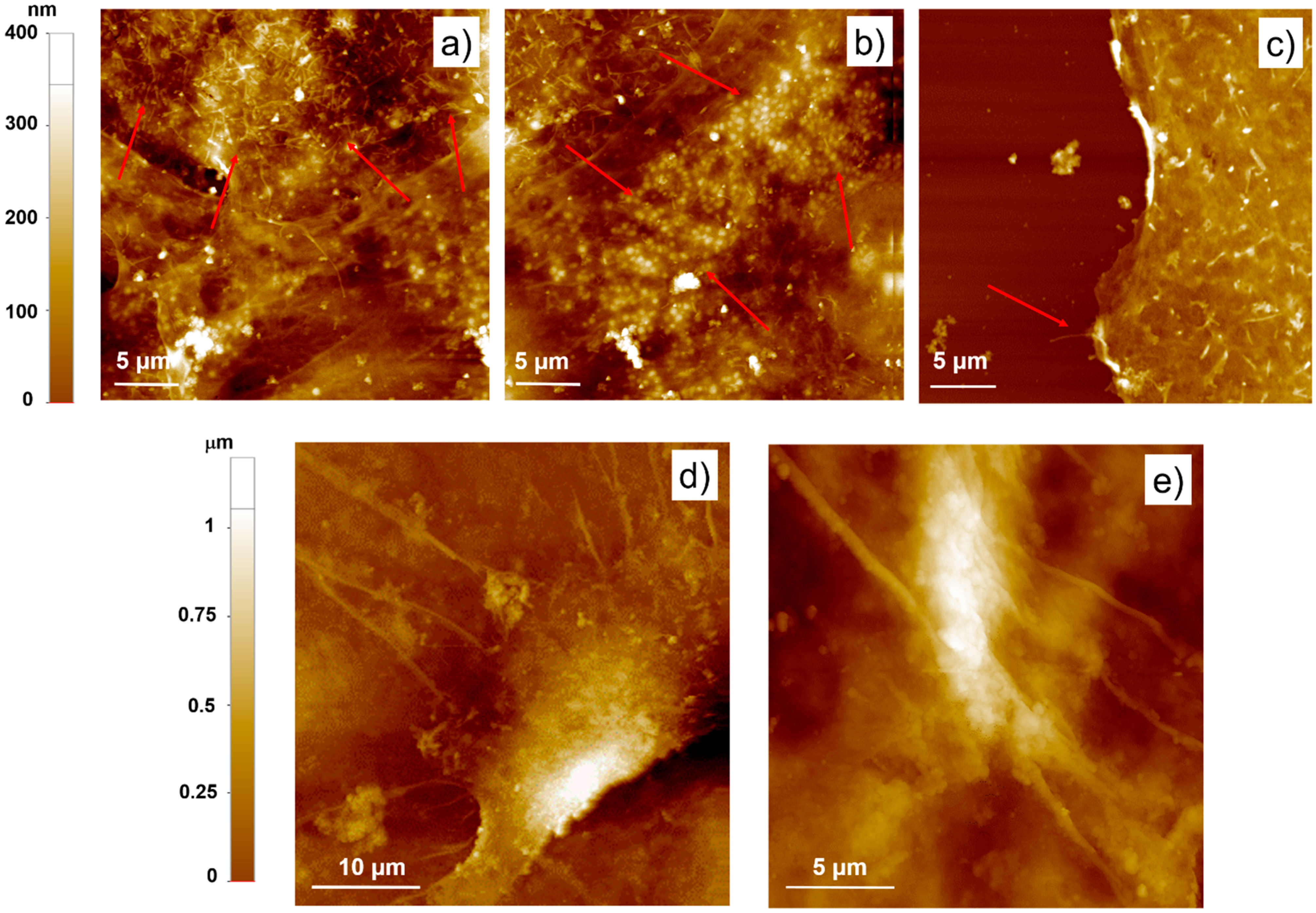 Nanomaterials 11 02022 g003 550
