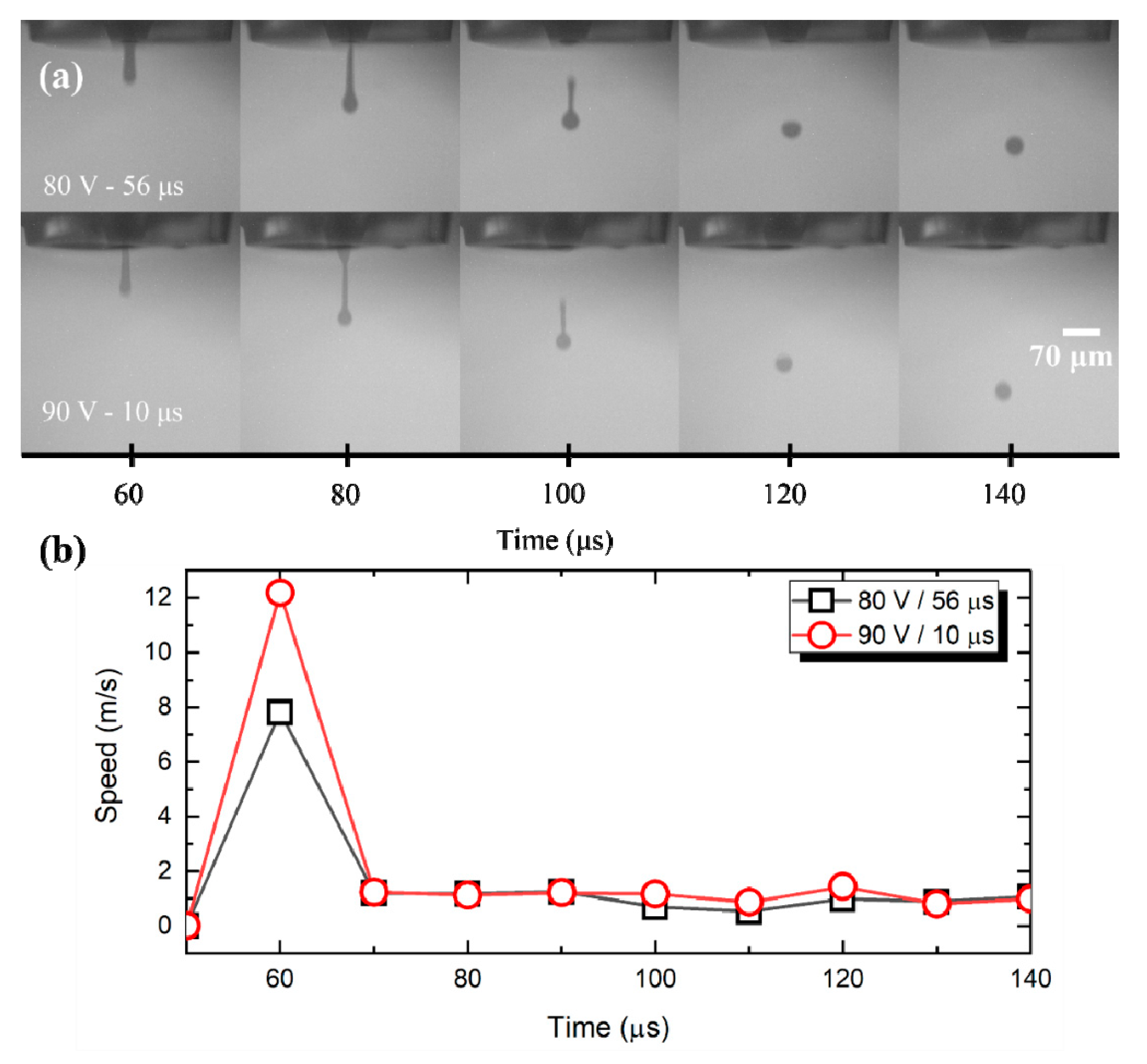 Nanomaterials 11 02025 g002