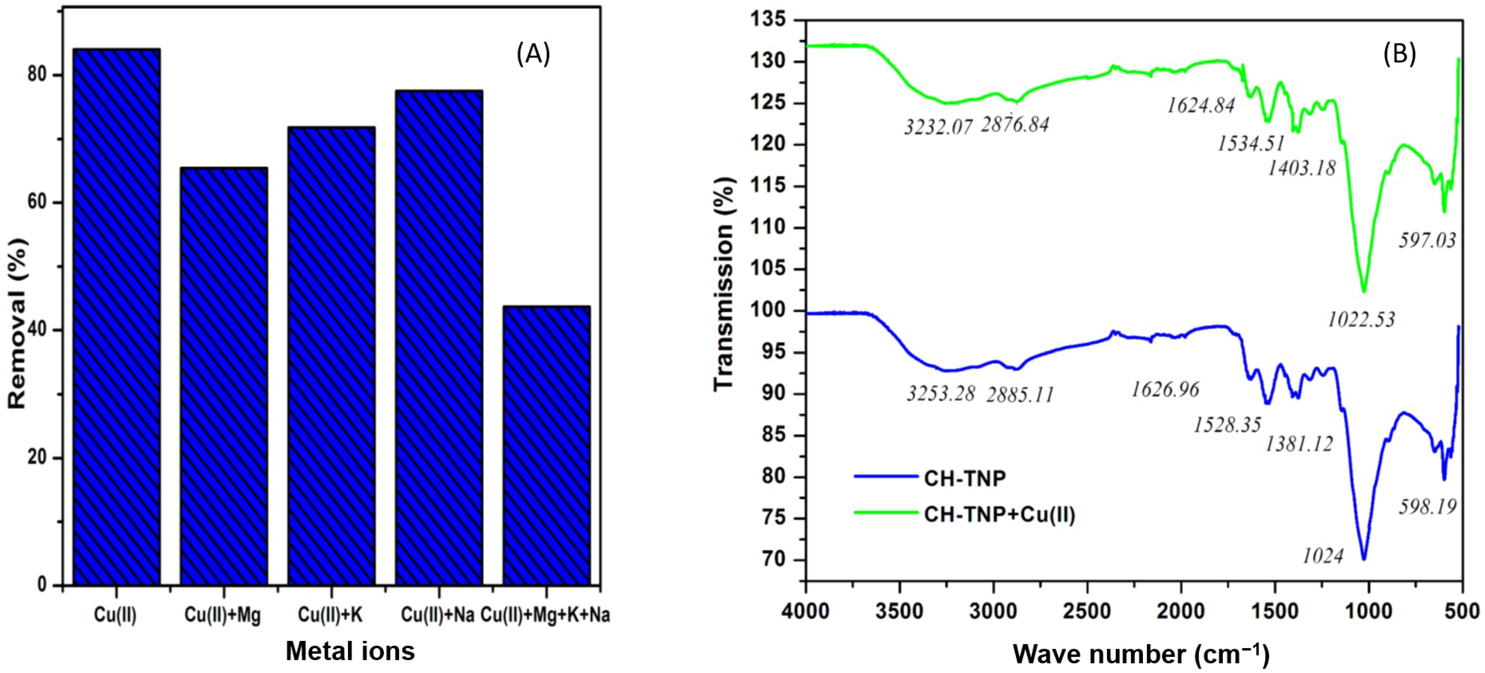 Nanomaterials 11 02028 g006 550