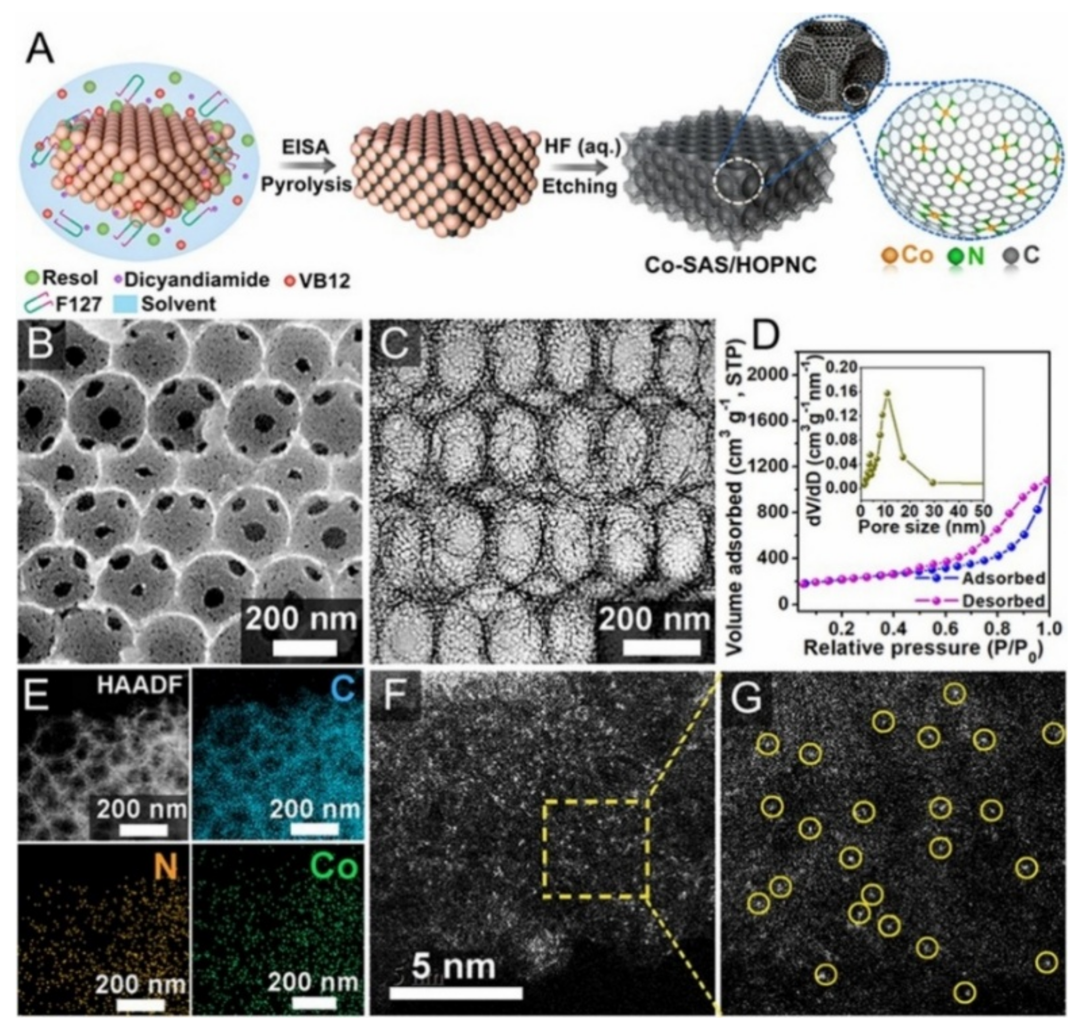 Nanomaterials 11 02029 g002 550