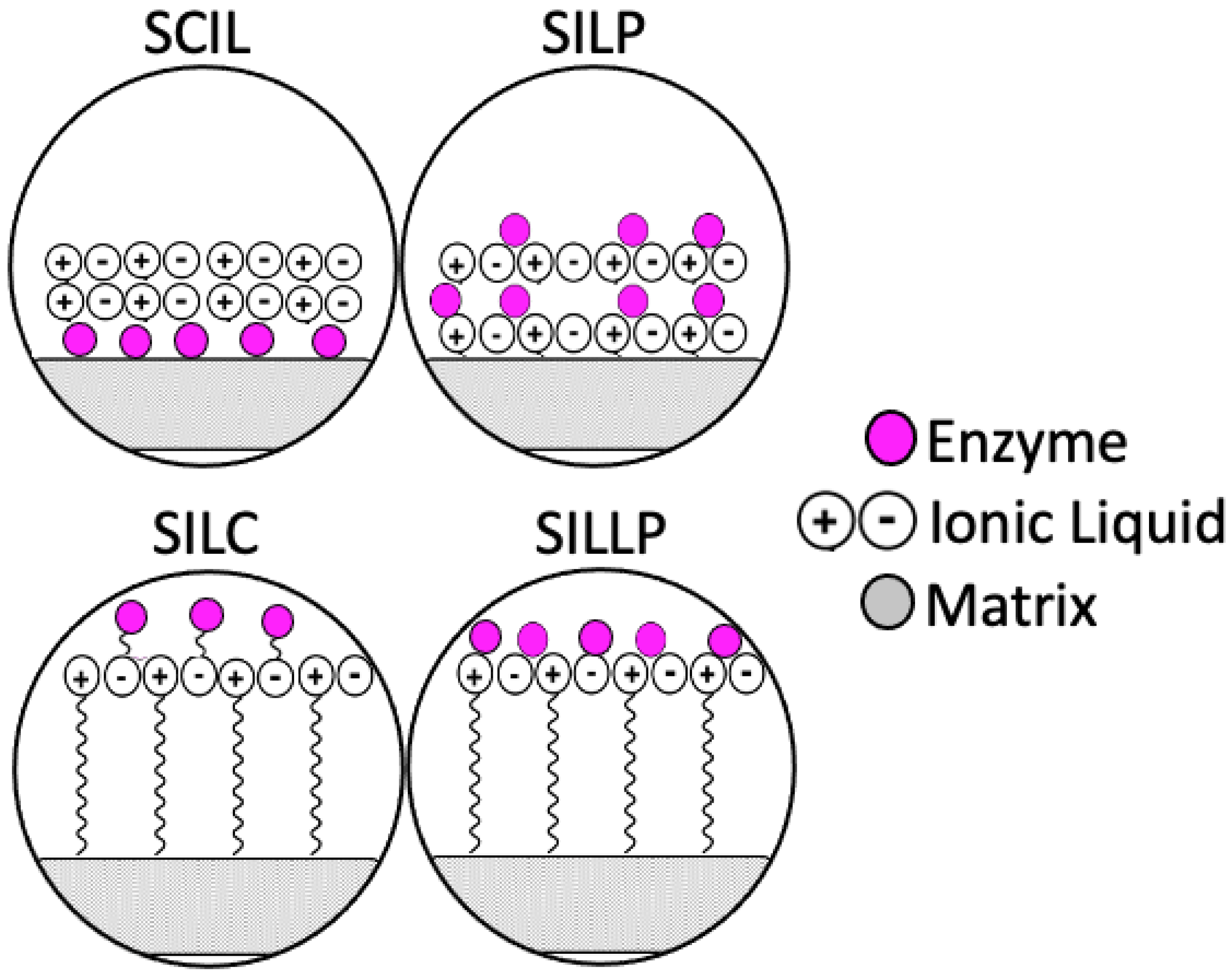 Nanomaterials 11 02030 g001
