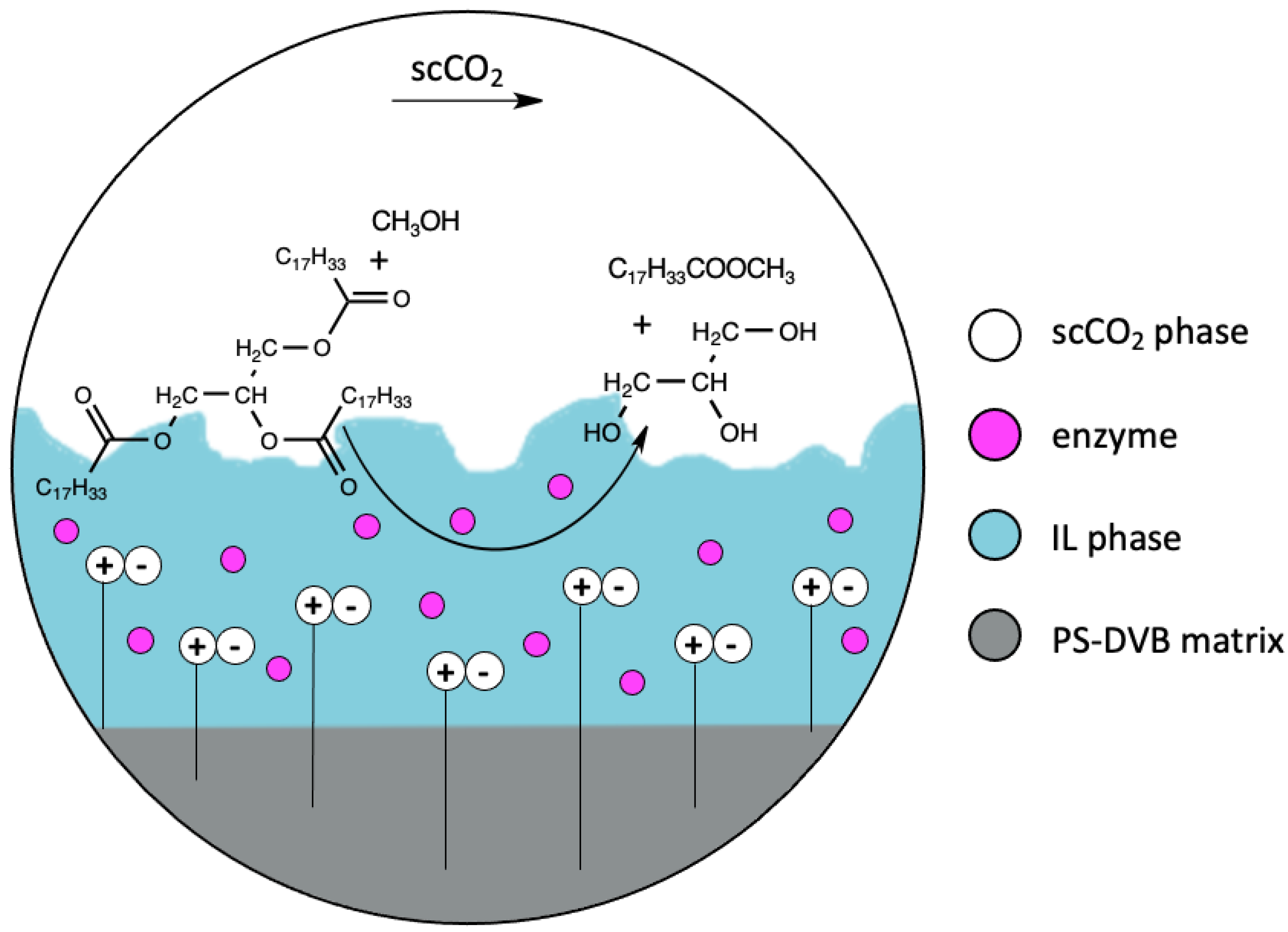 Nanomaterials 11 02030 g004