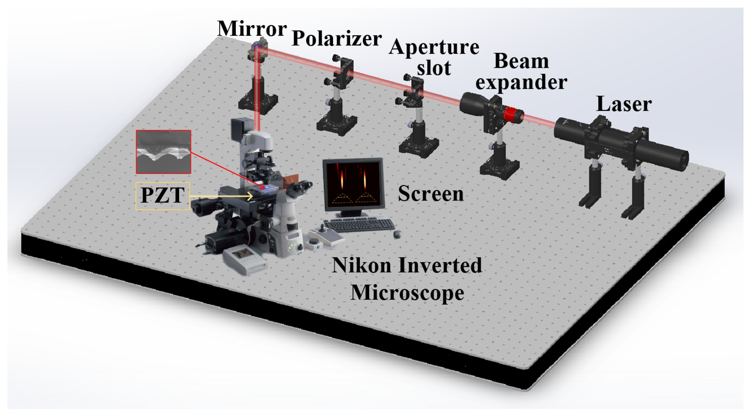 Nanomaterials 11 02034 g004 550