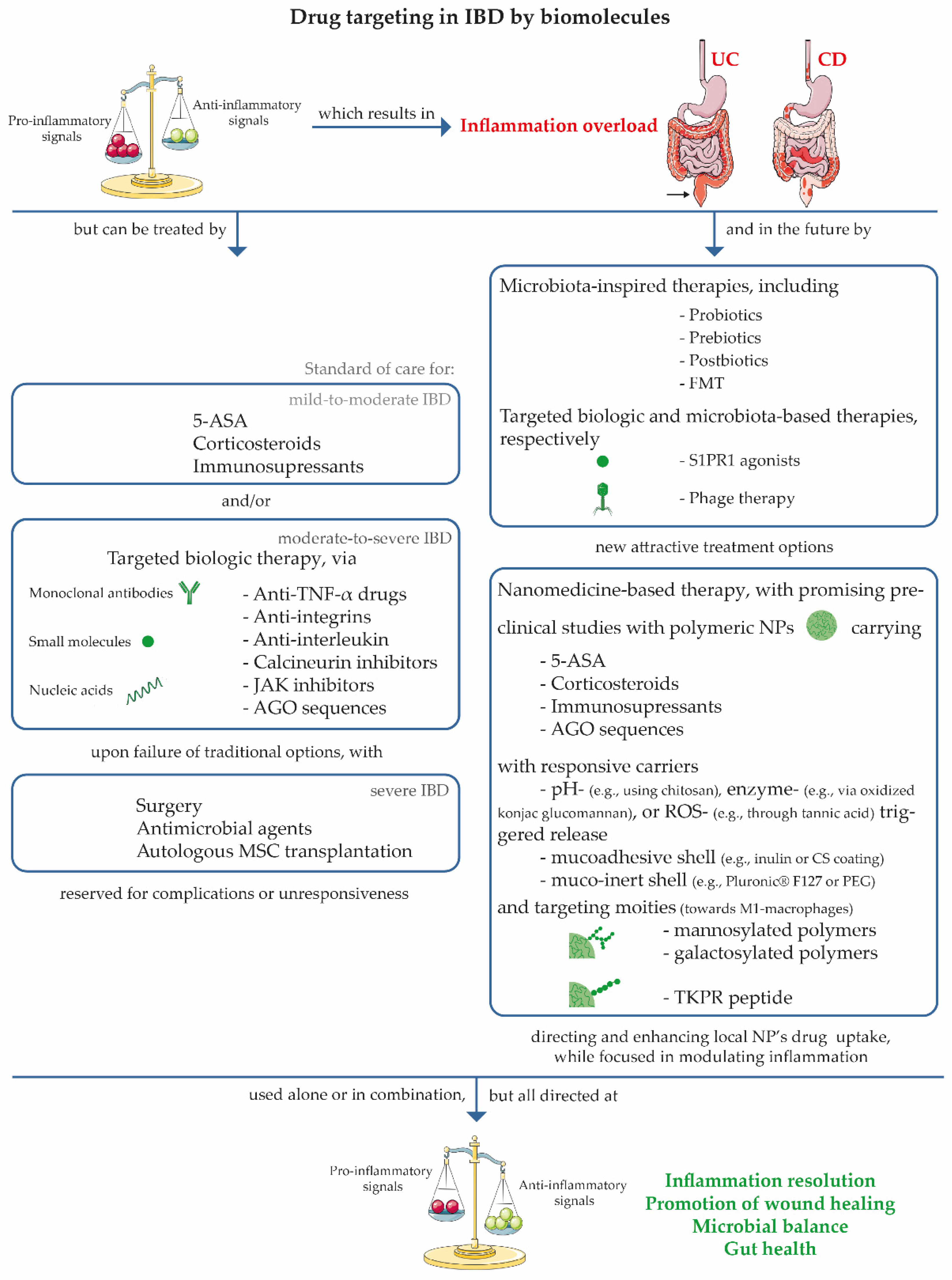Nanomaterials 11 02035 g002 550
