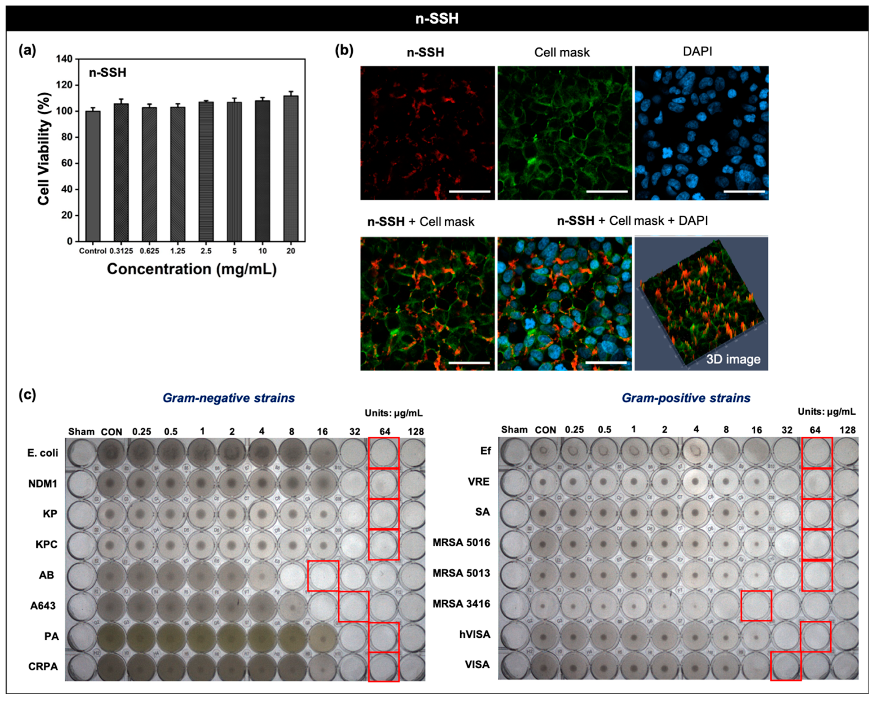Nanomaterials 11 02036 g005 550