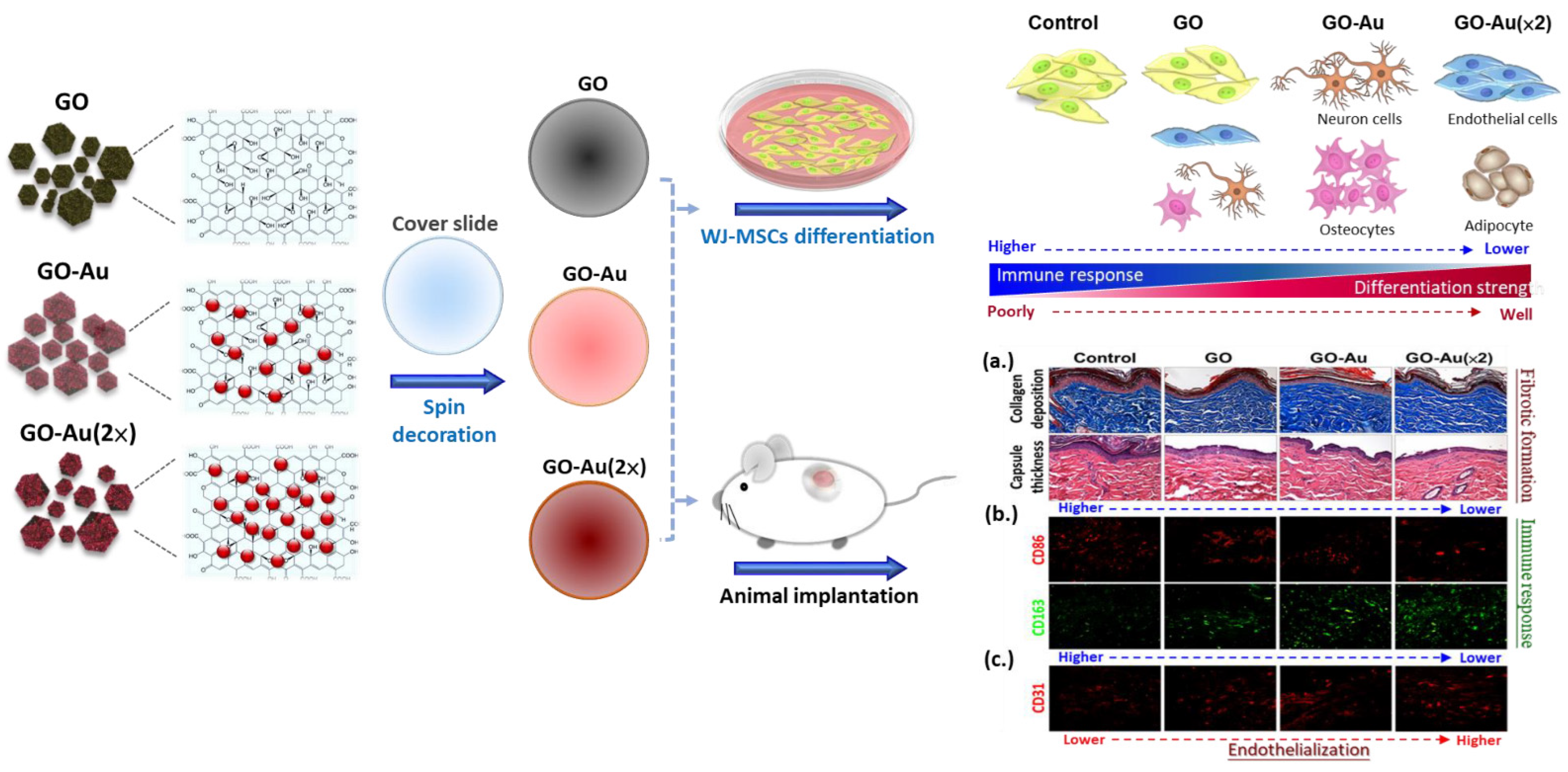 Nanomaterials 11 02046 g010