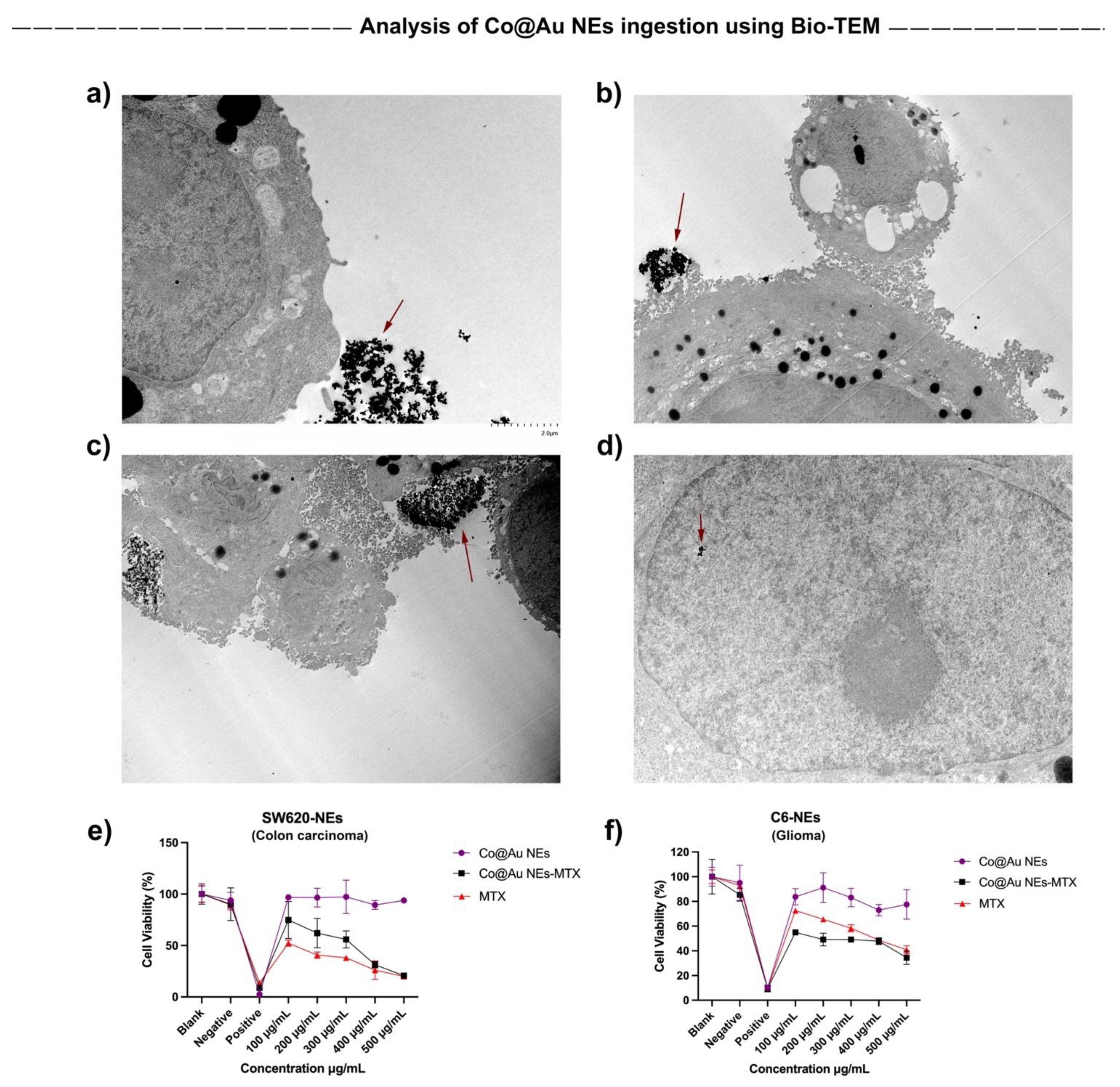 Nanomaterials 11 02048 g007 550