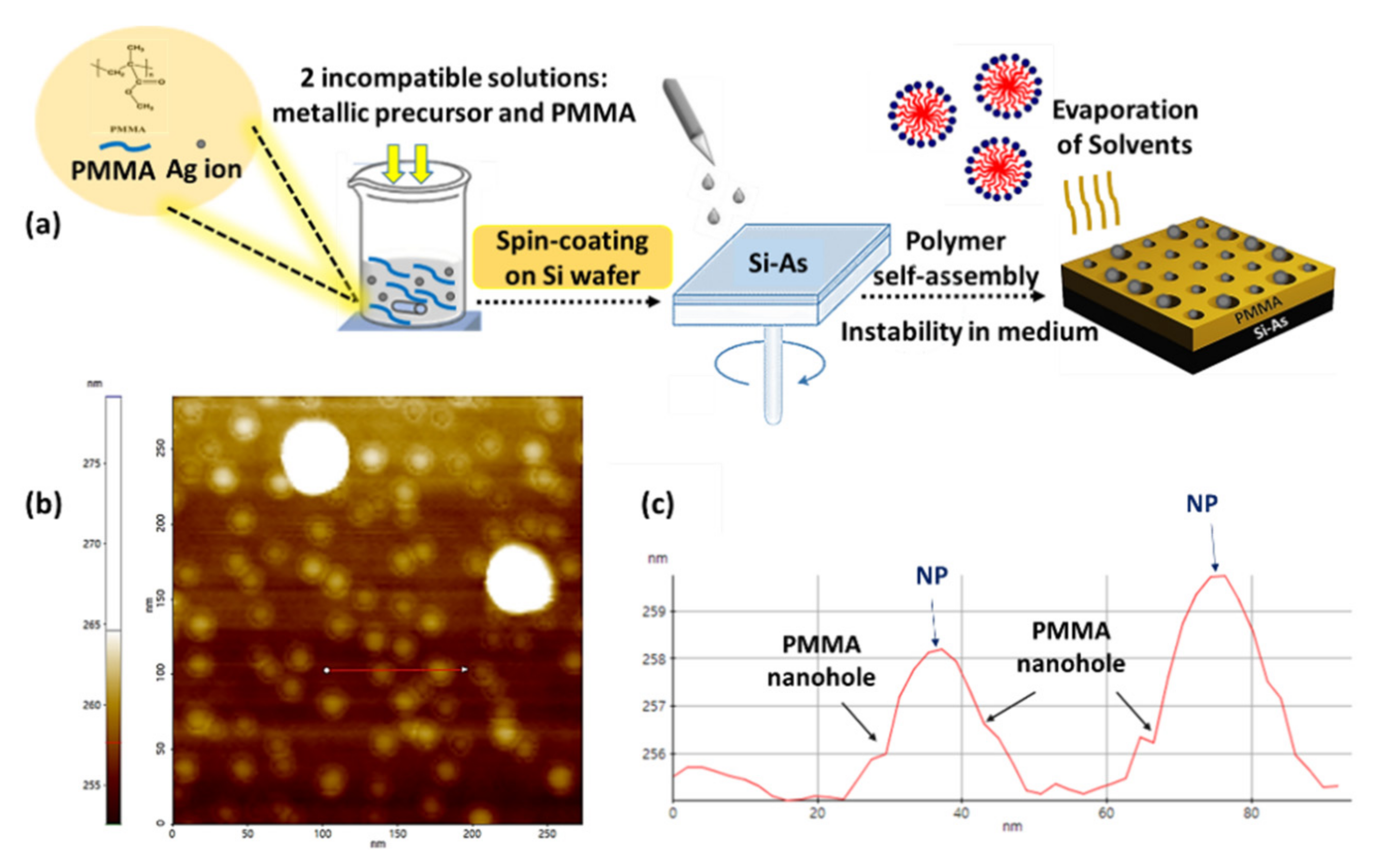 Nanomaterials 11 02055 g001