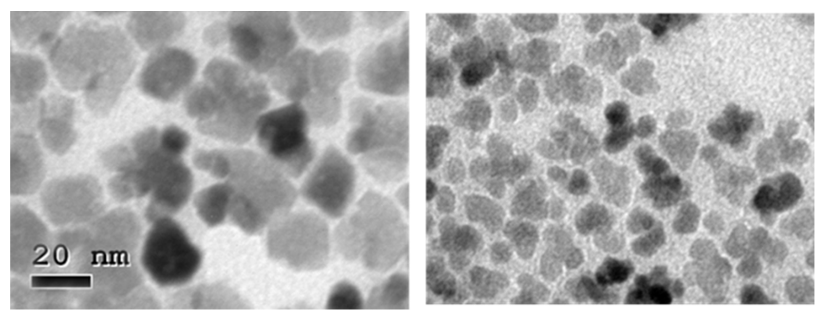 Nanomaterials 11 02059 g003 550