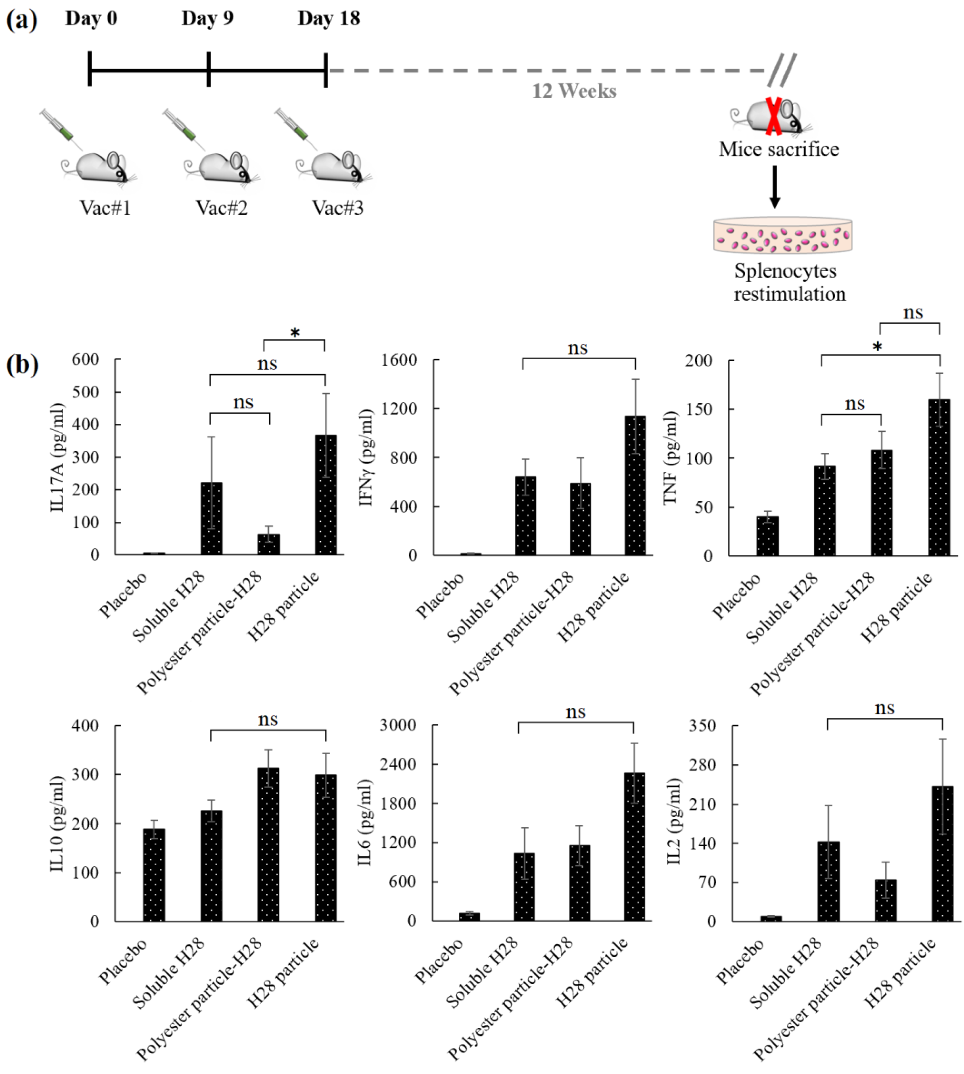 Nanomaterials 11 02060 g003
