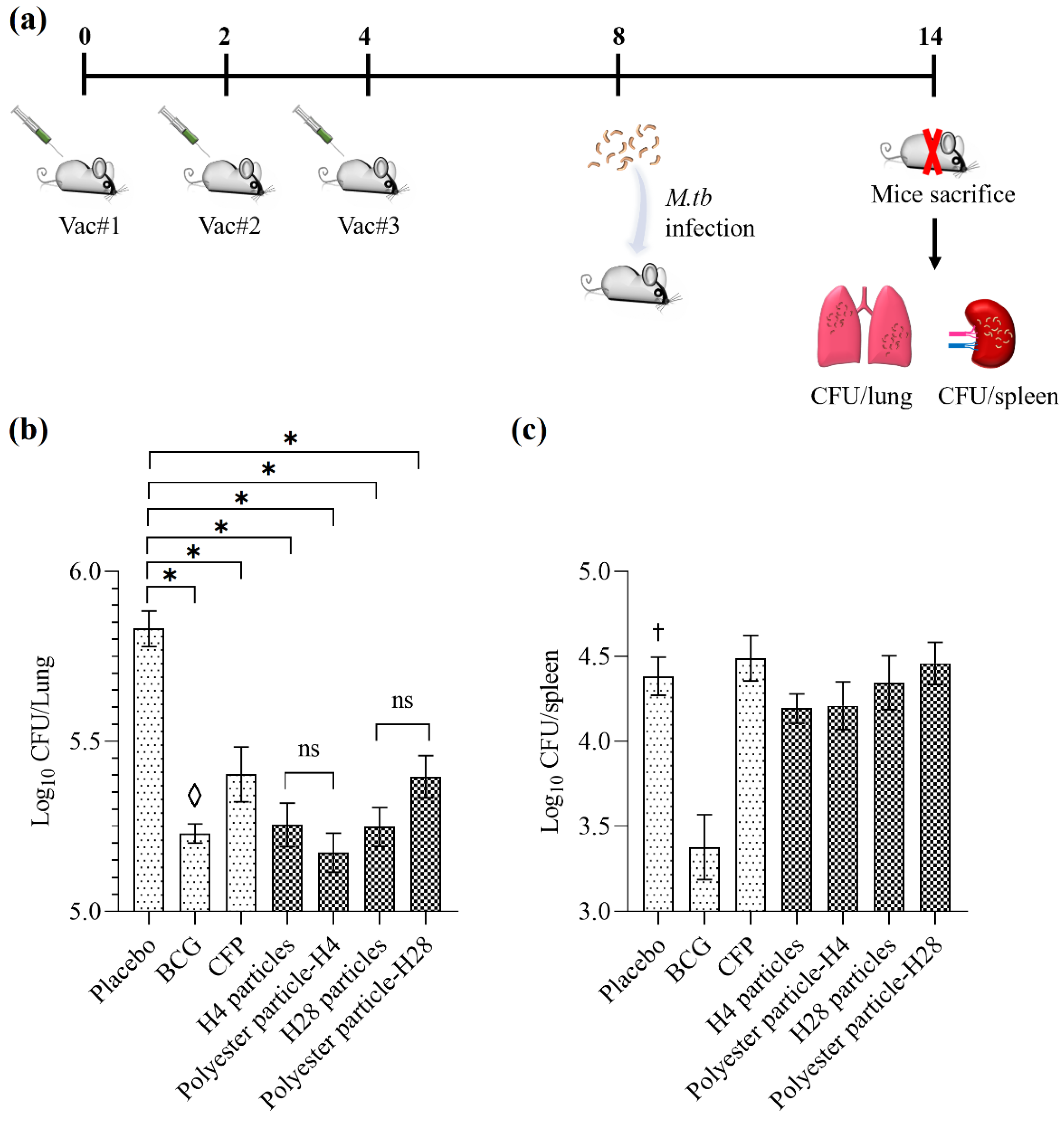 Nanomaterials 11 02060 g004