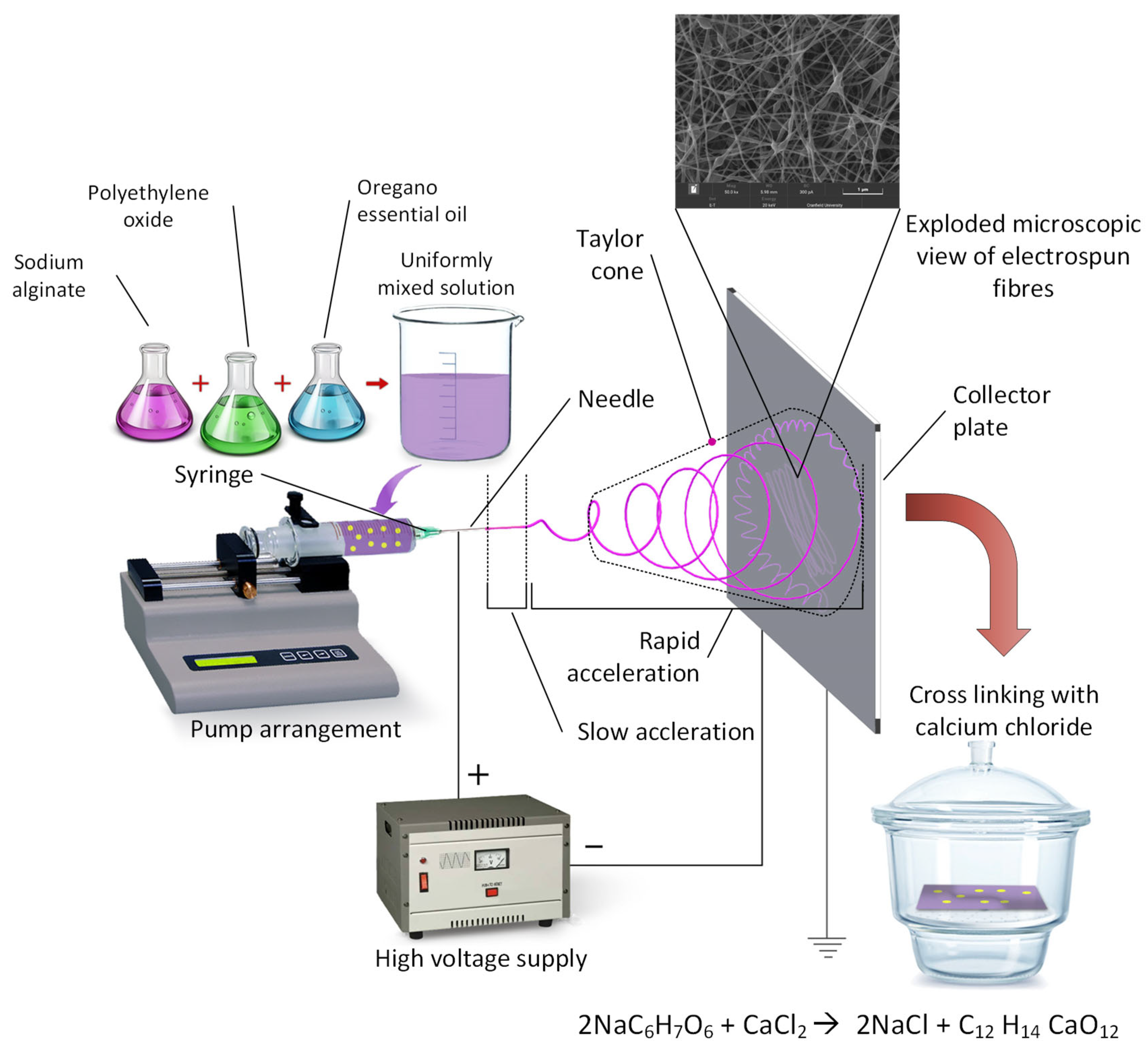 Nanomaterials 11 02062 g002 550