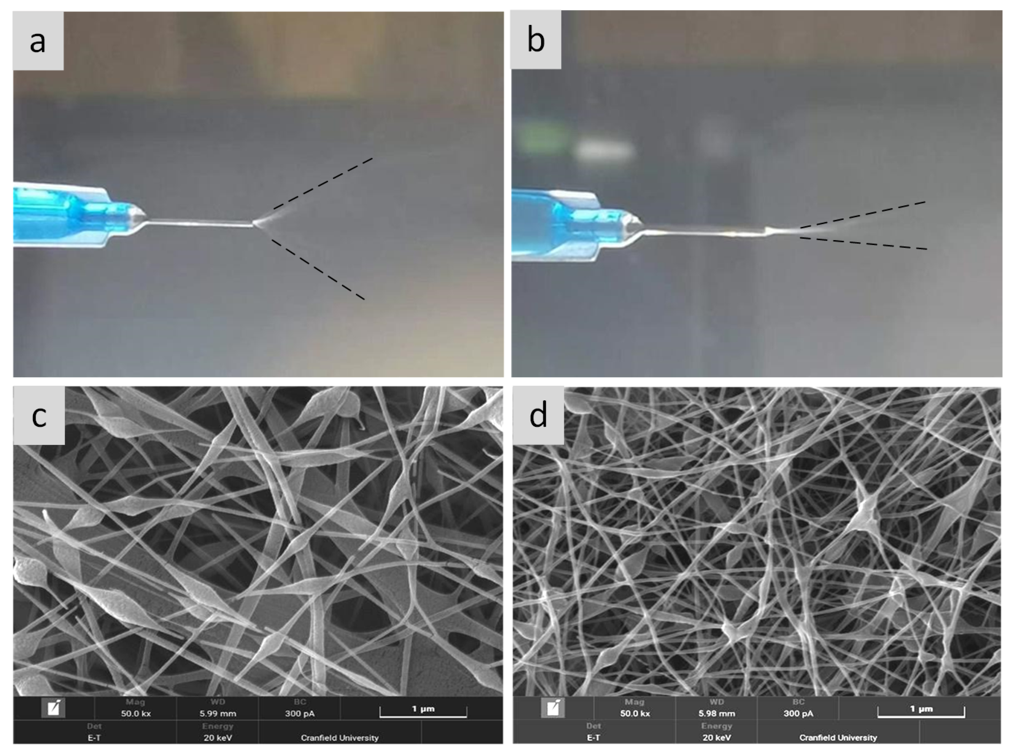 Nanomaterials 11 02062 g006 550