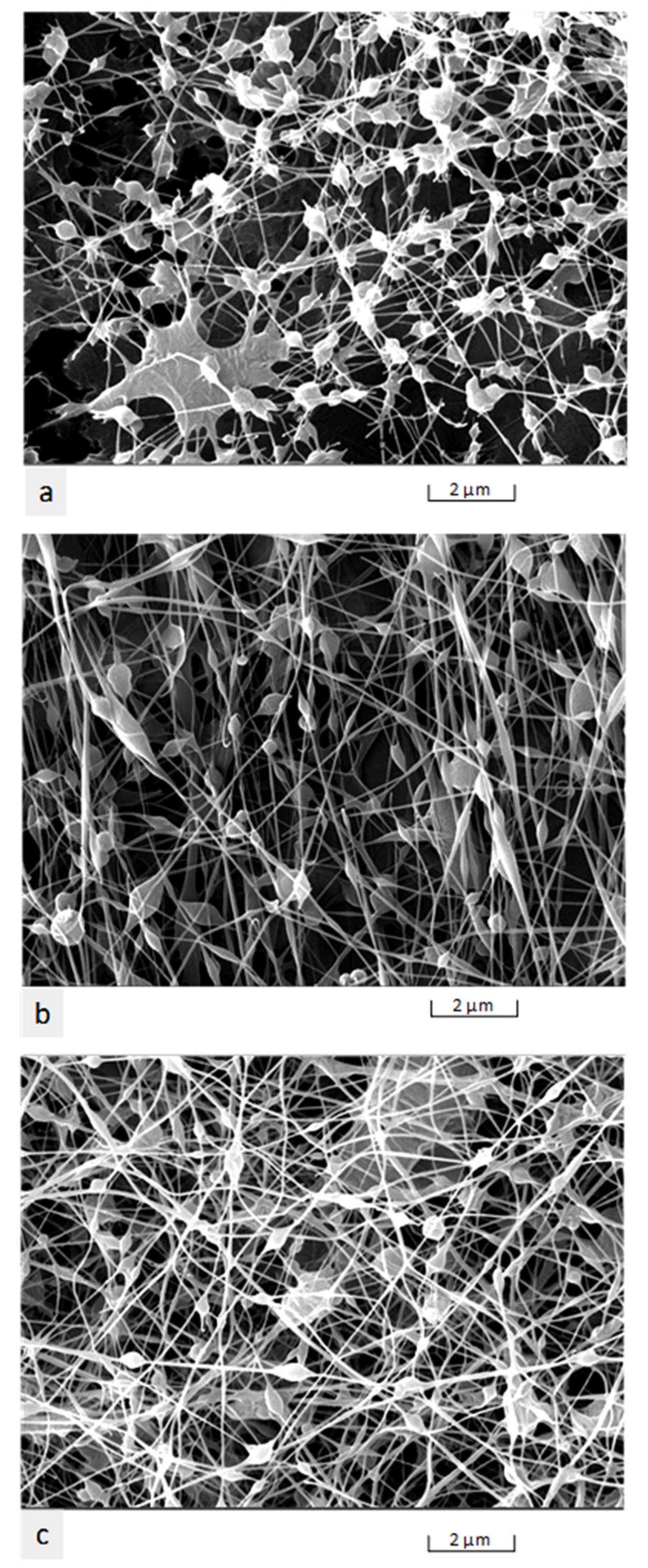 Nanomaterials 11 02062 g007 550