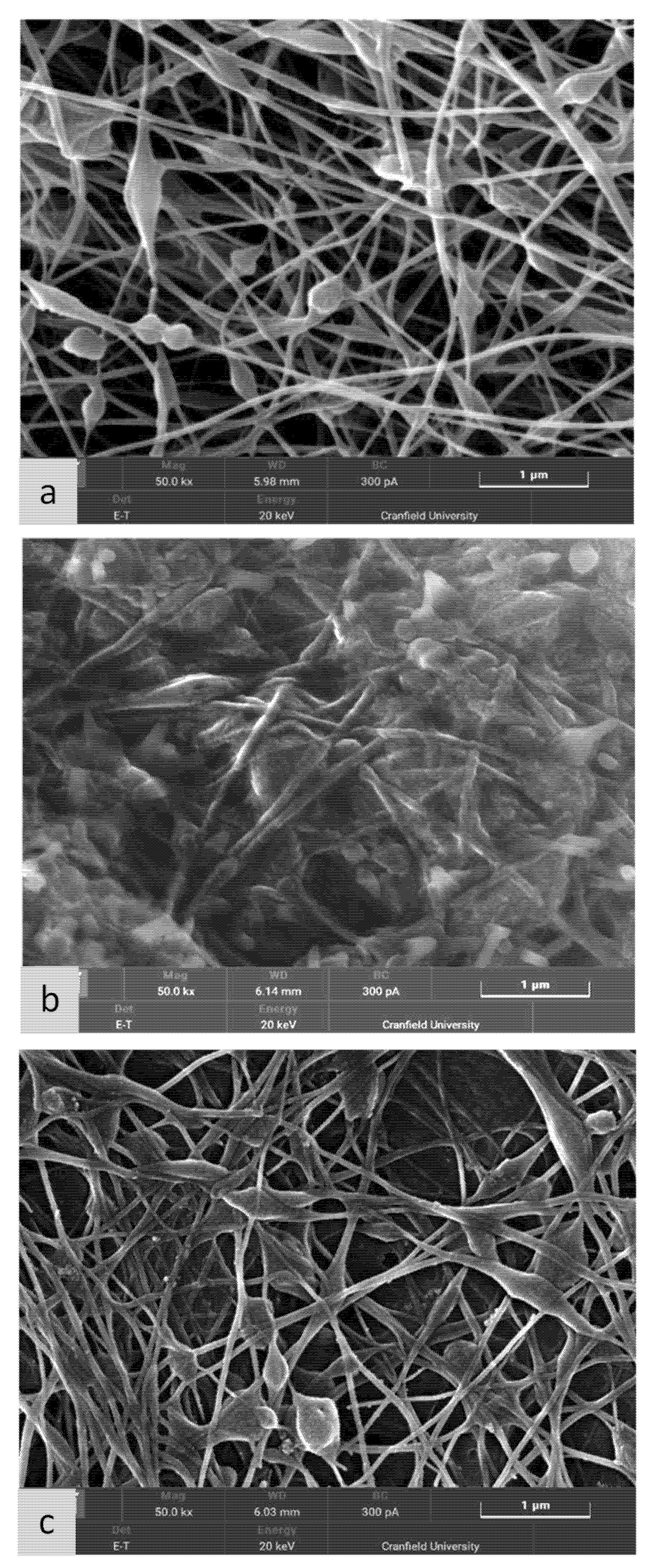 Nanomaterials 11 02062 g008 550