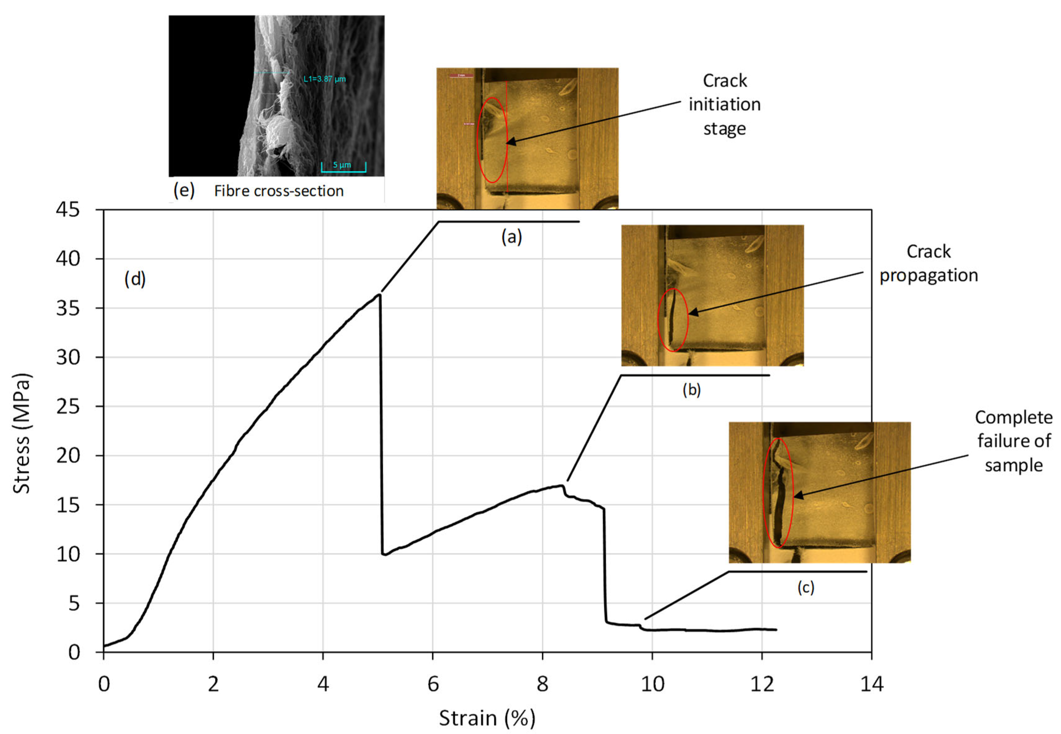 Nanomaterials 11 02062 g010 550