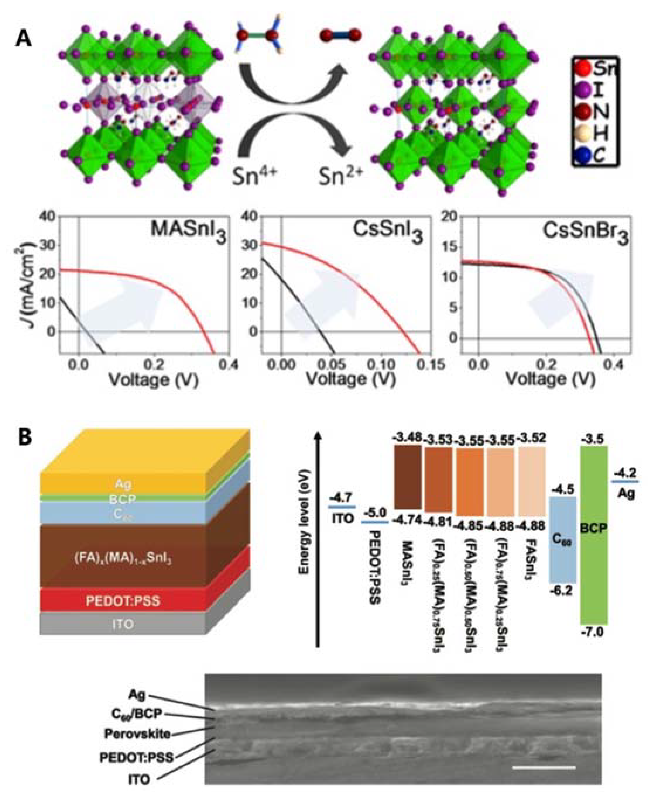 Nanomaterials 11 02066 g002 550