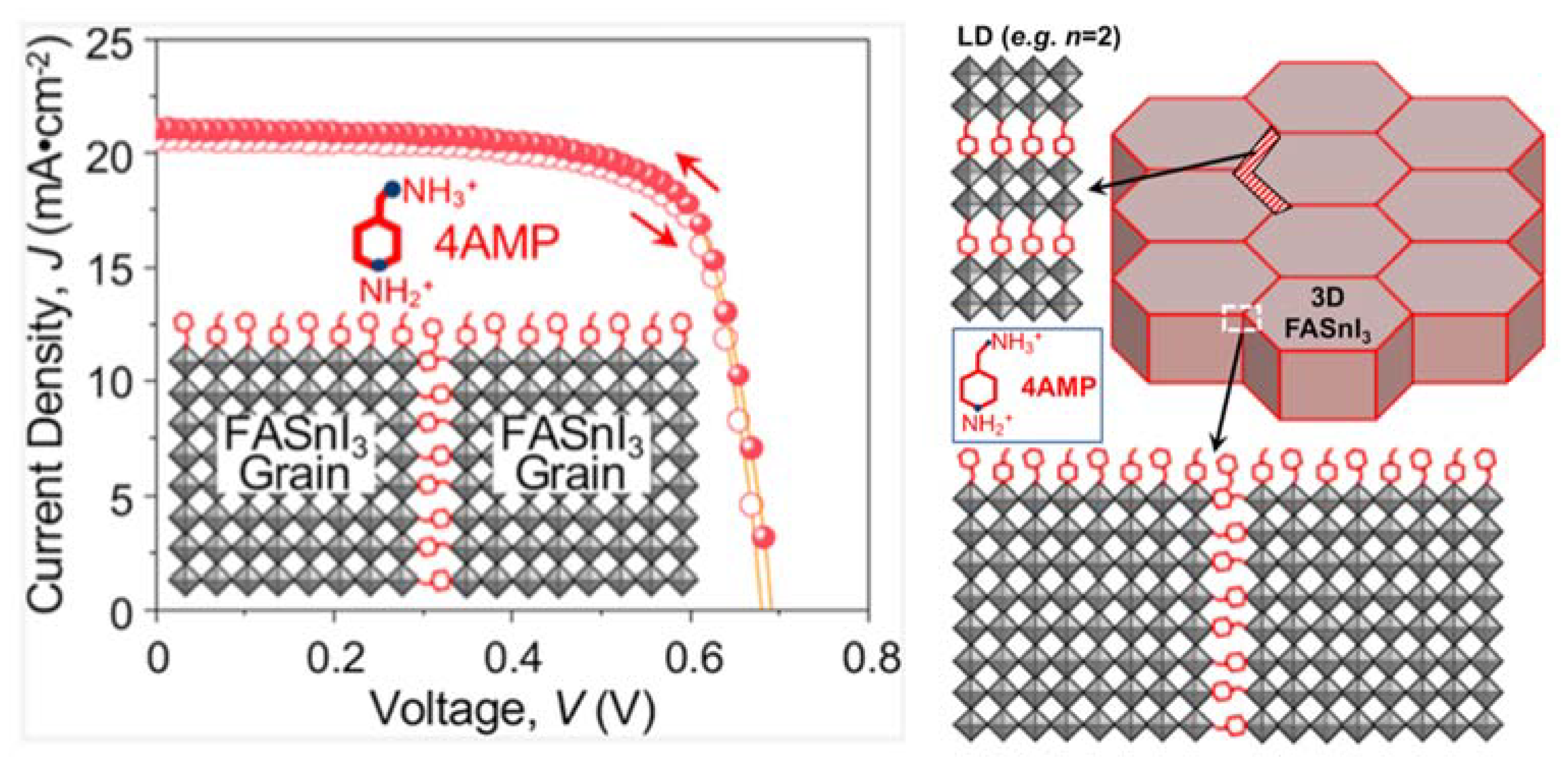 Nanomaterials 11 02066 g005 550