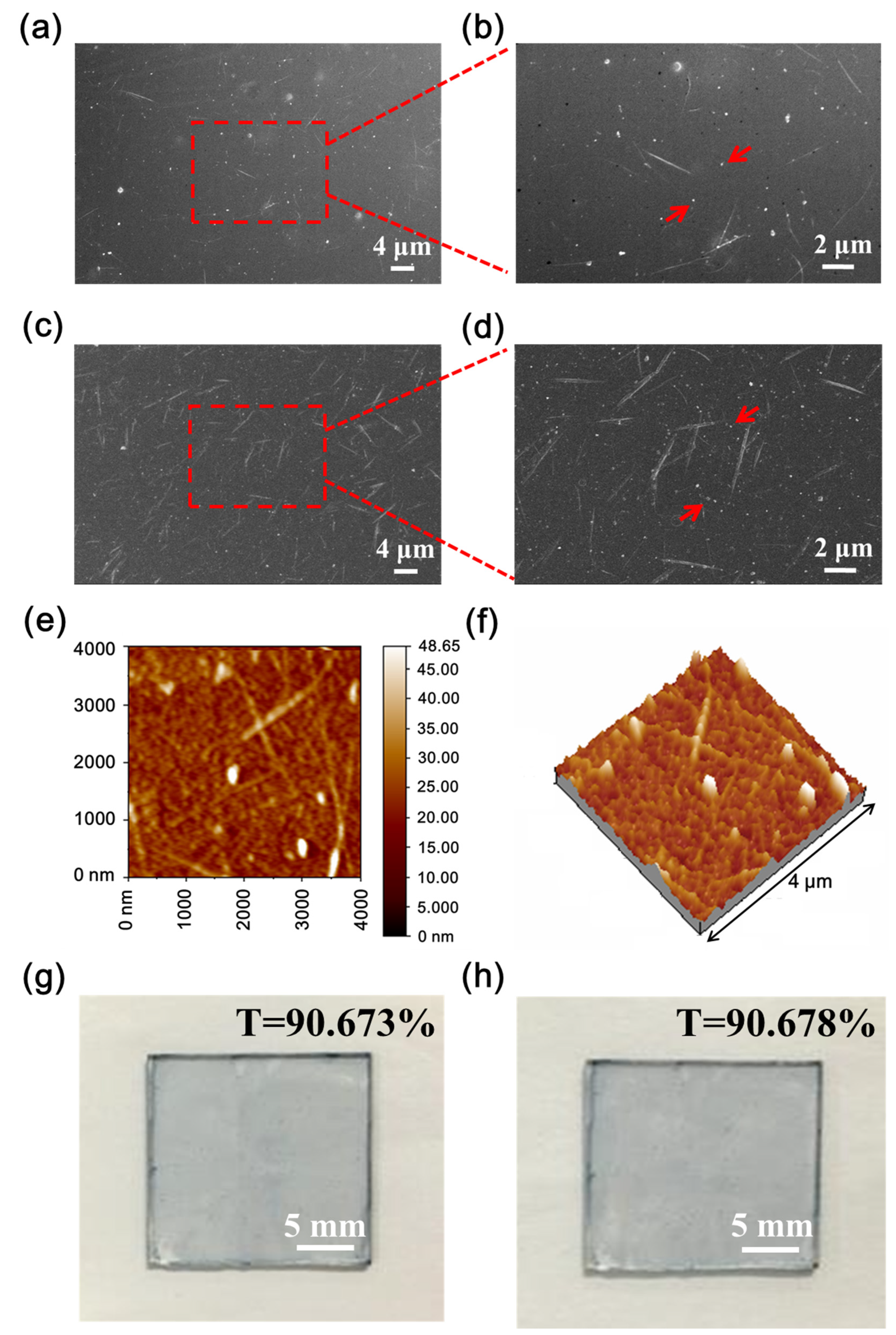 Nanomaterials 11 02067 g003