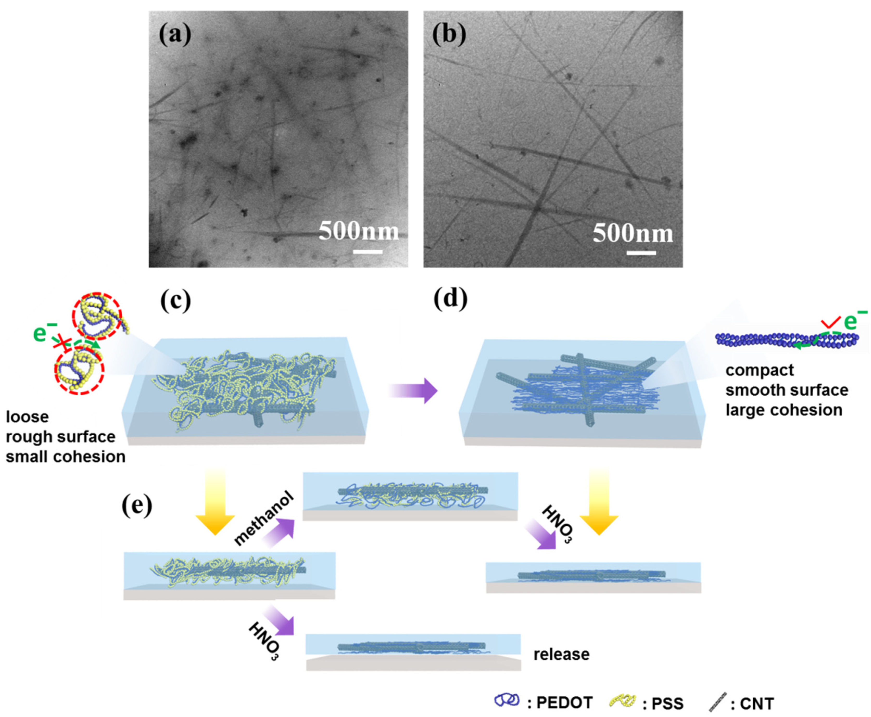 Nanomaterials 11 02067 g005