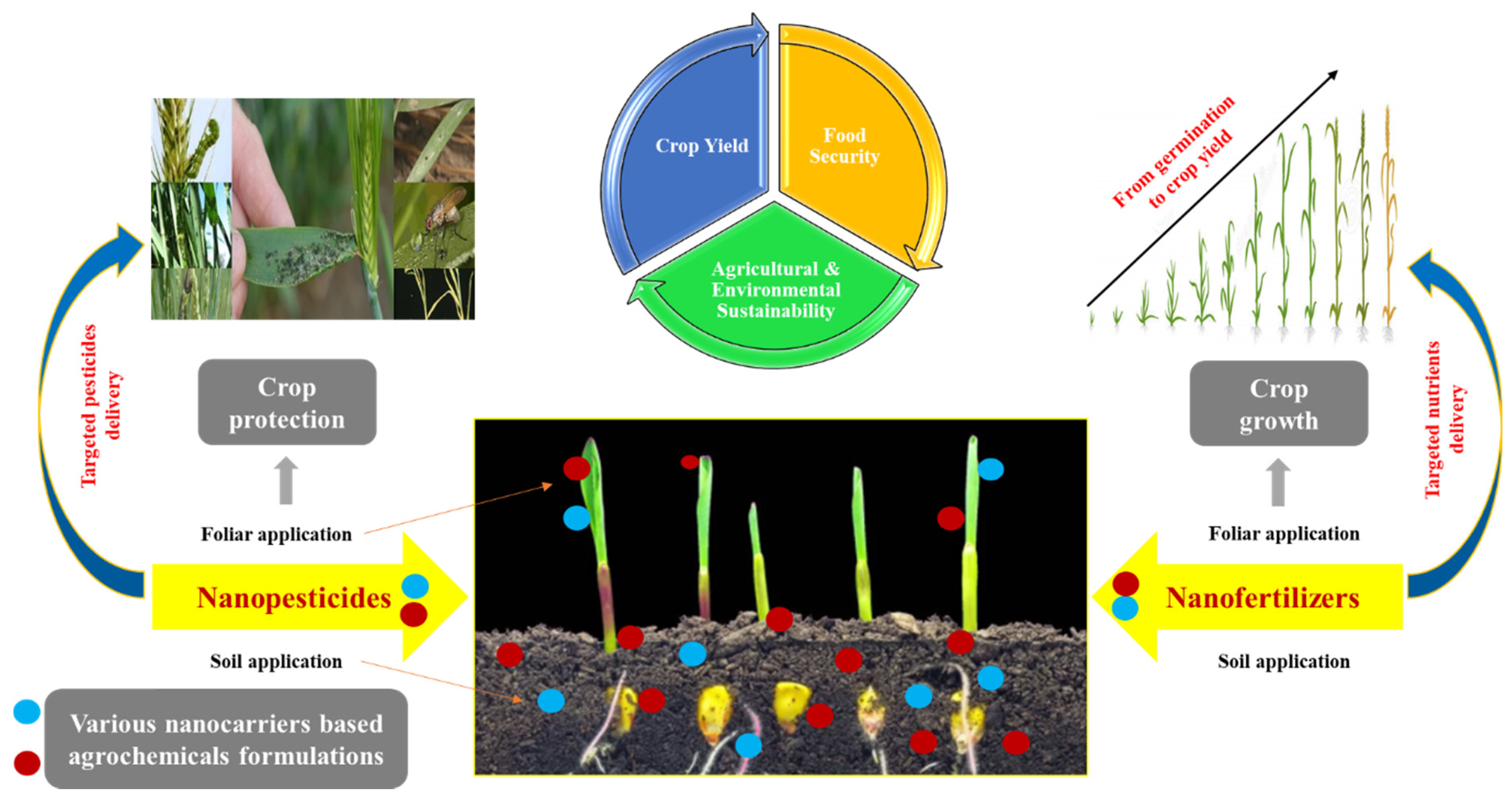 Nanomaterials 11 02068 g002