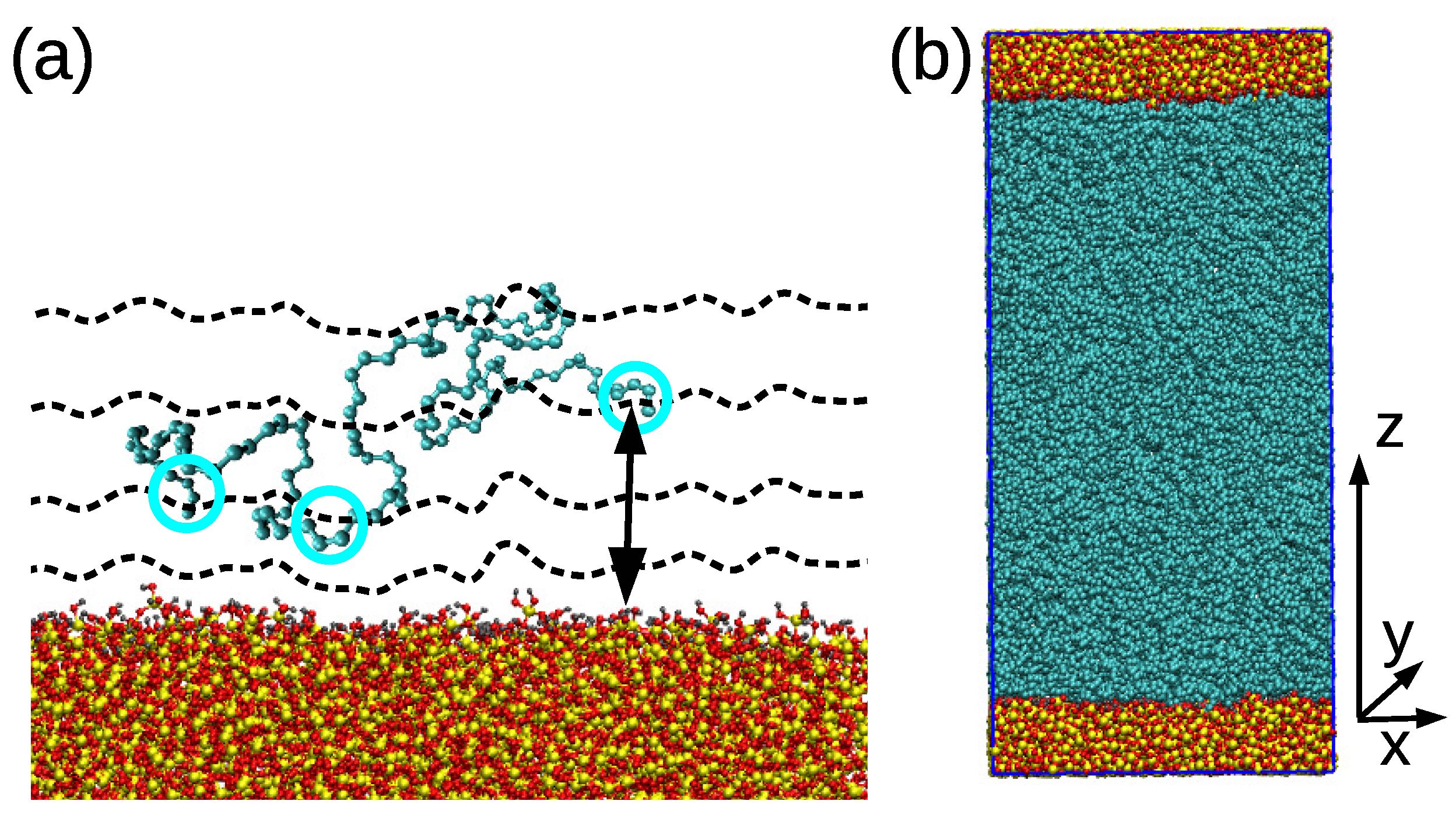 Nanomaterials | Free Full-Text | Coupling between Polymer 