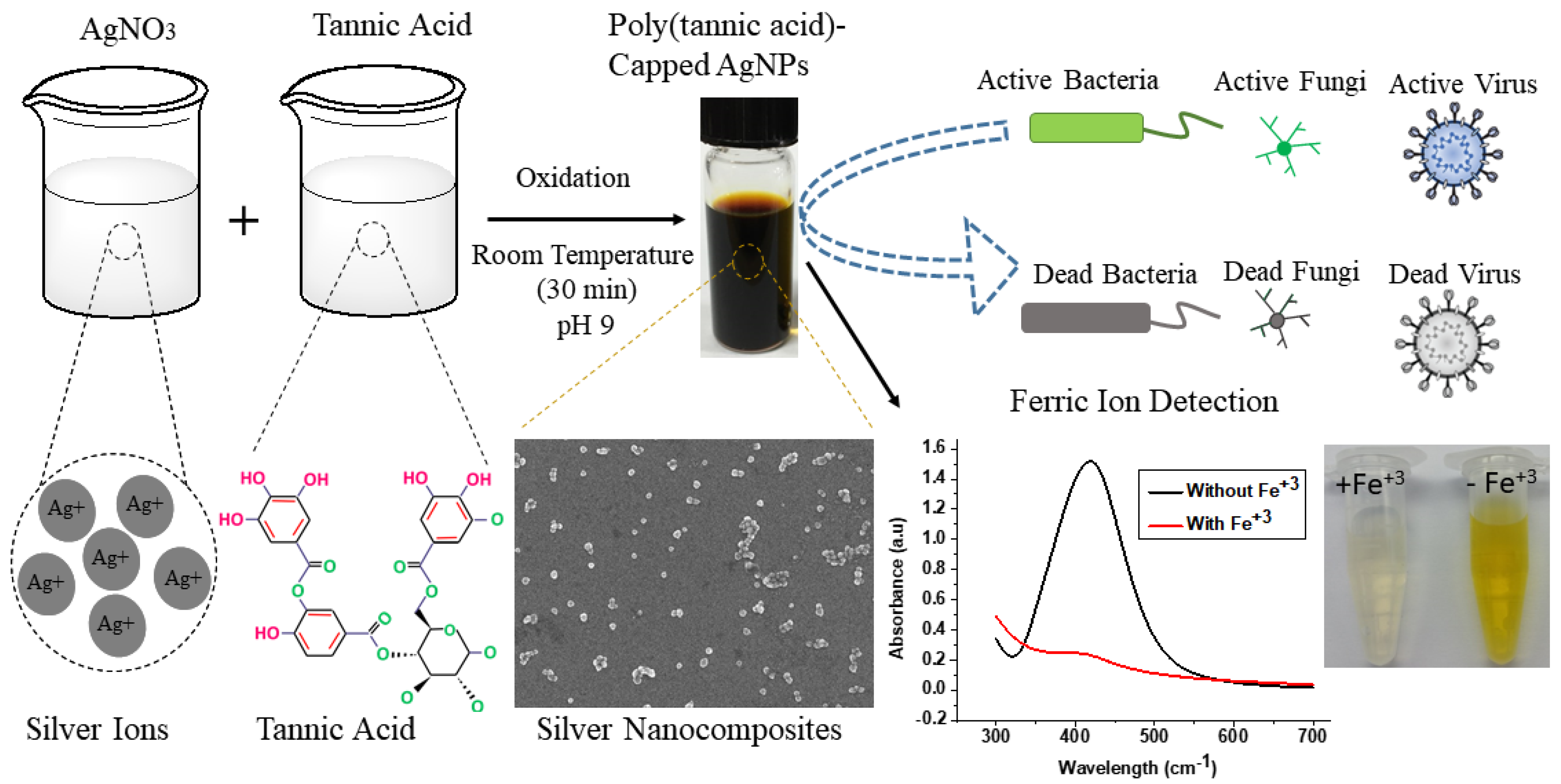 Nanomaterials 11 02076 g001 Nanomaterials 11 02076 g001