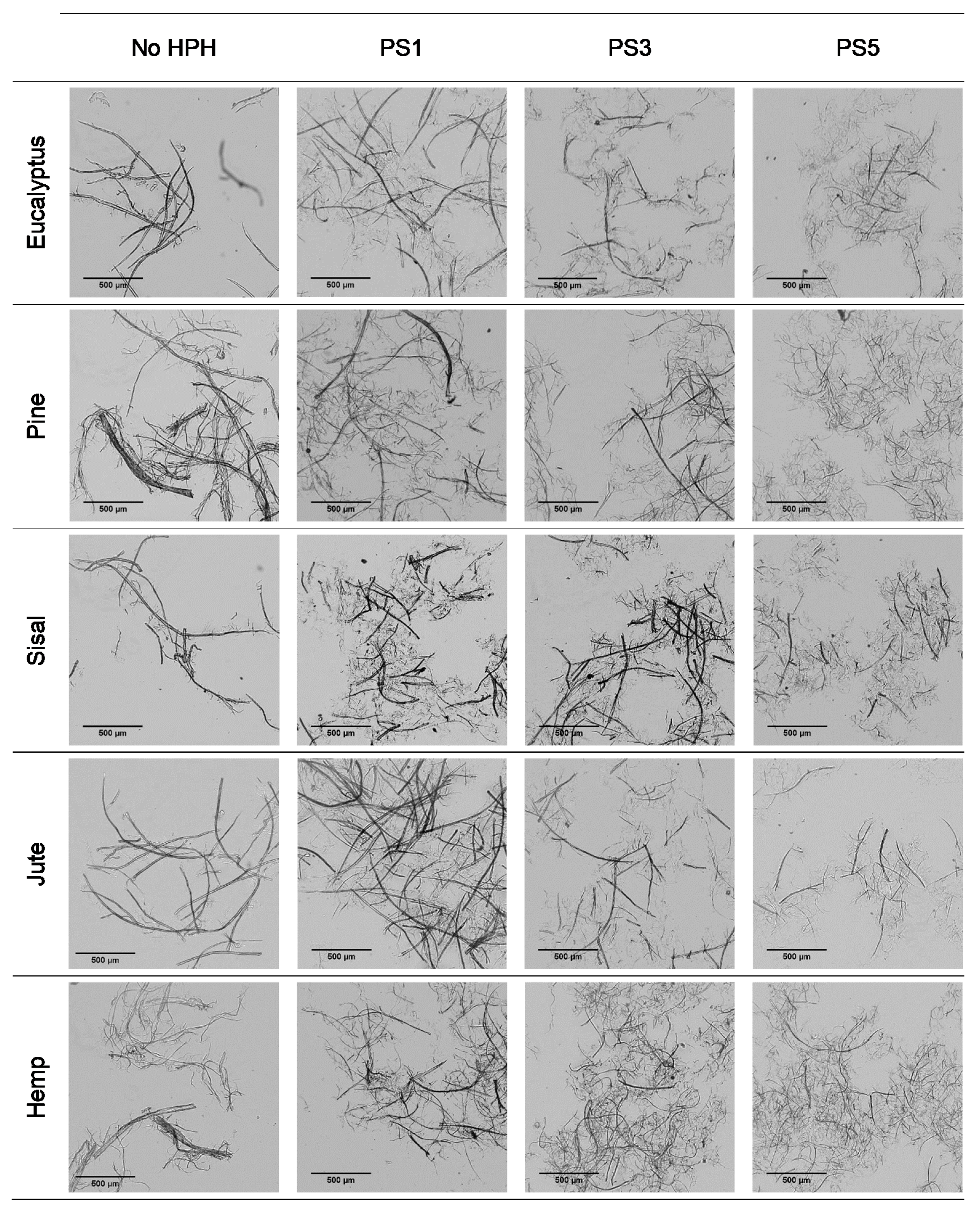 Nanomaterials 11 02077 g001 Nanomaterials 11 02077 g001