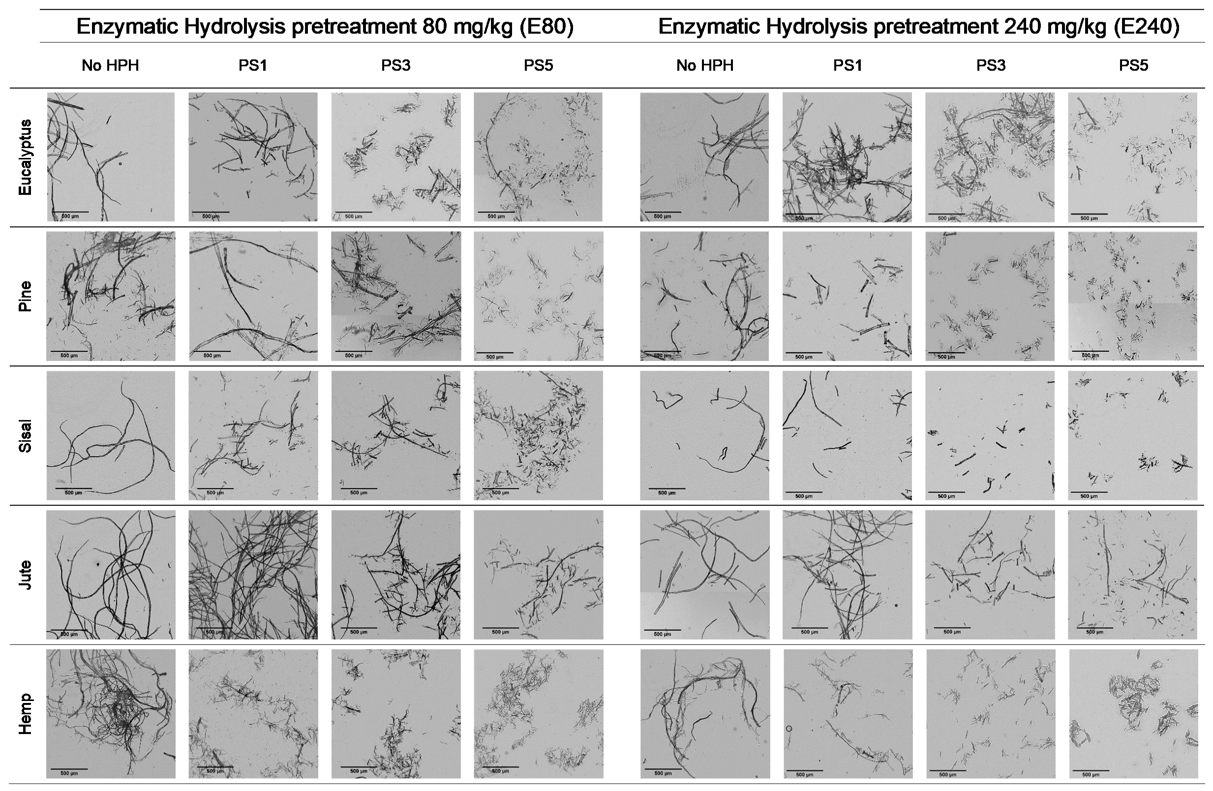Nanomaterials 11 02077 g003 Nanomaterials 11 02077 g003