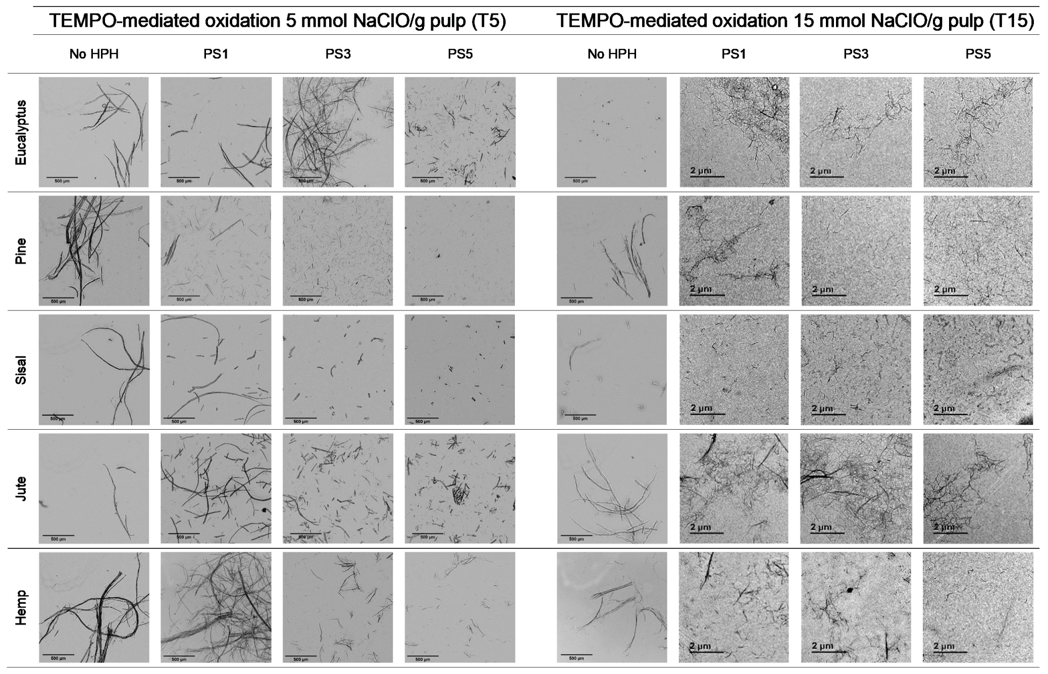 Nanomaterials 11 02077 g005 Nanomaterials 11 02077 g005