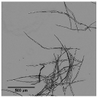 Nanomaterials 11 02077 i001 Nanomaterials 11 02077 i001