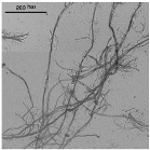 Nanomaterials 11 02077 i005 Nanomaterials 11 02077 i005