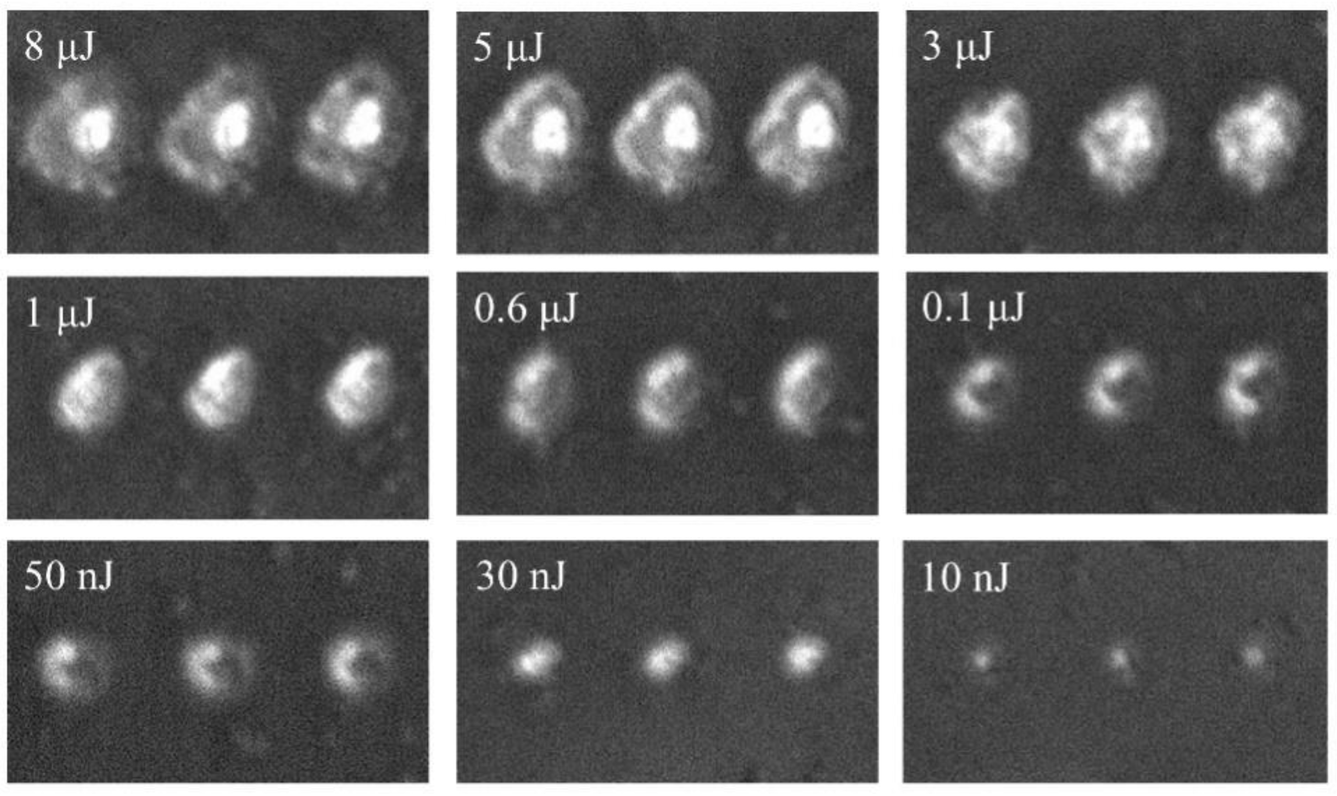 Nanomaterials 11 02078 g005