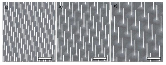 Nanomaterials 11 02079 g003 550