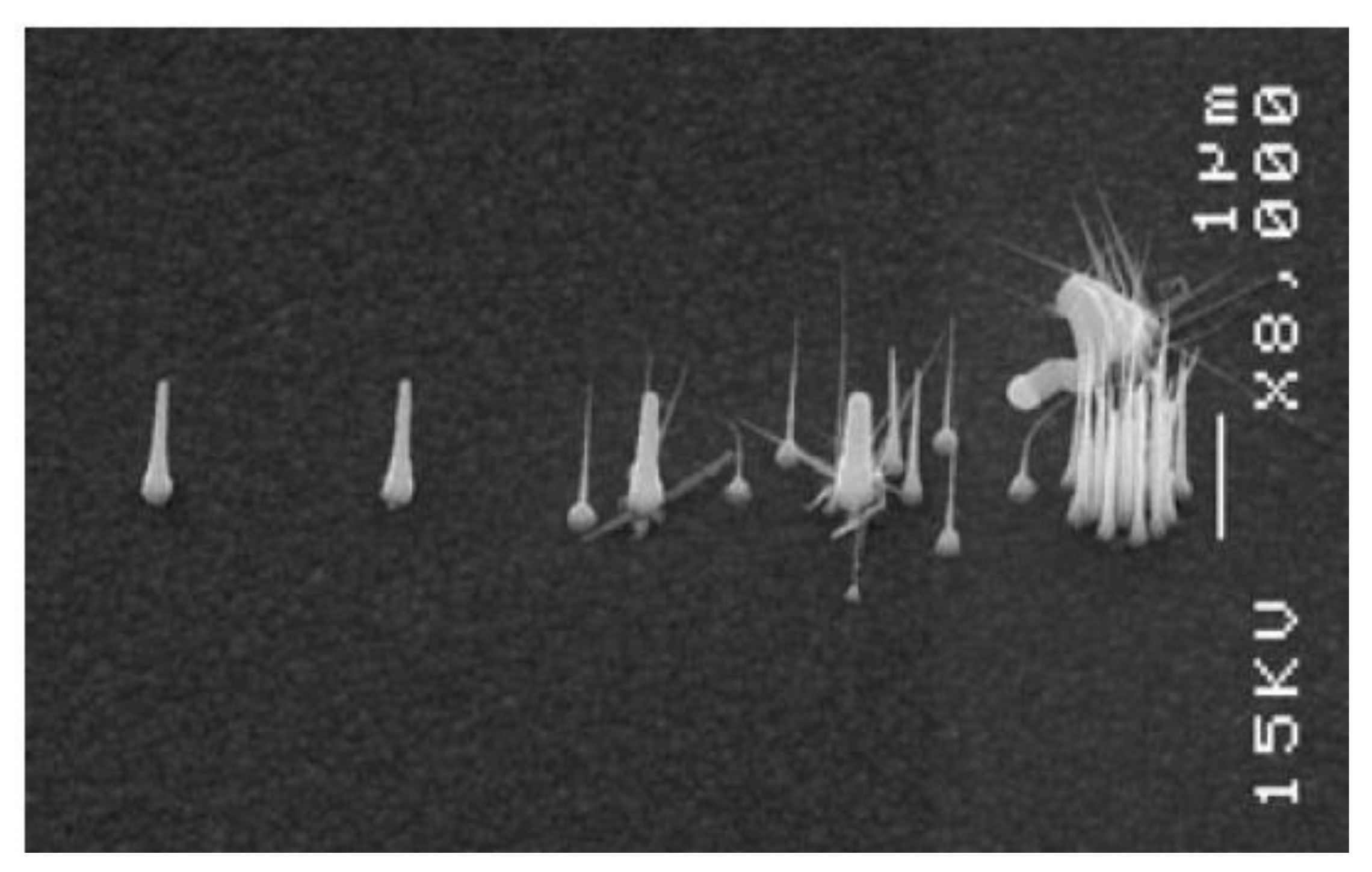 Nanomaterials 11 02079 g008 Nanomaterials 11 02079 g008