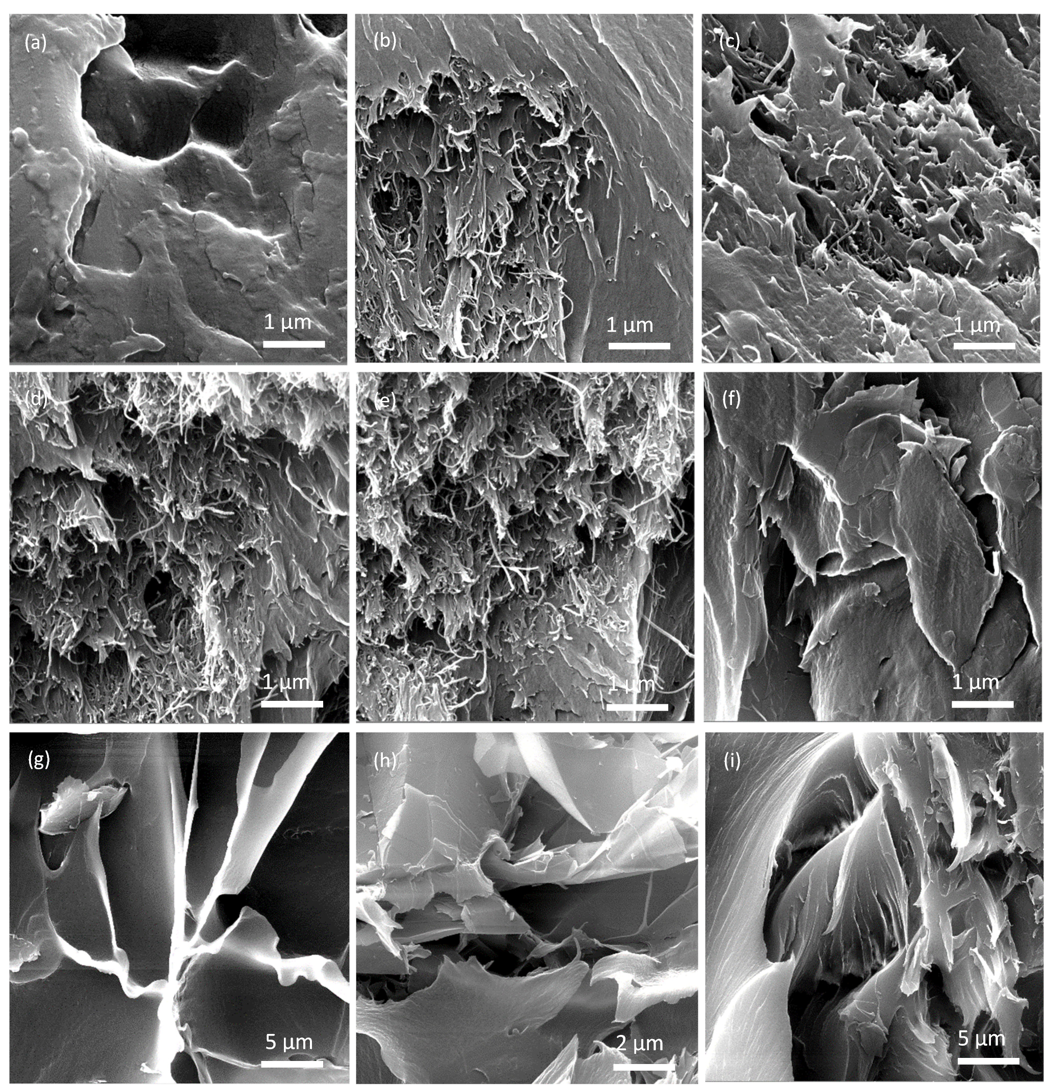 Nanomaterials 11 02080 g004