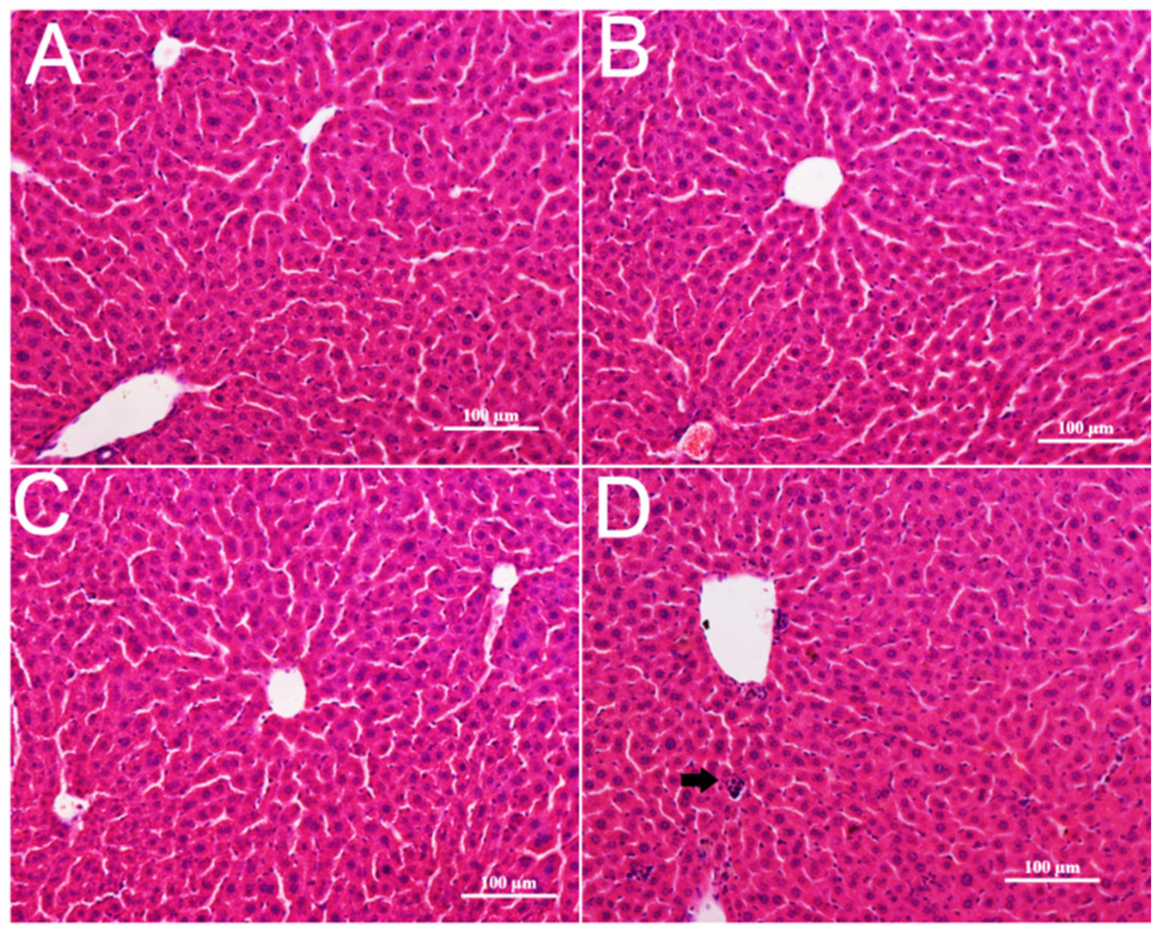 Nanomaterials 11 02081 g004