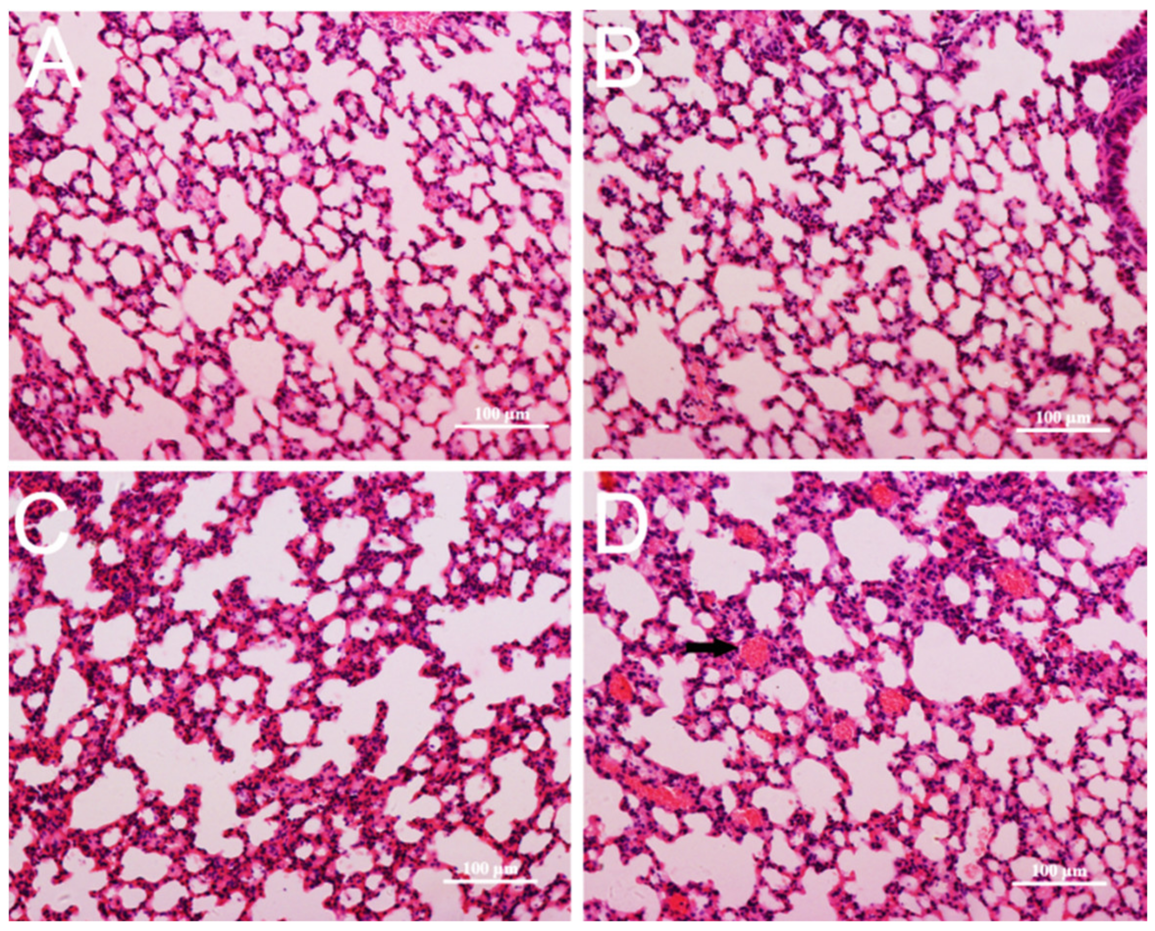 Nanomaterials 11 02081 g005