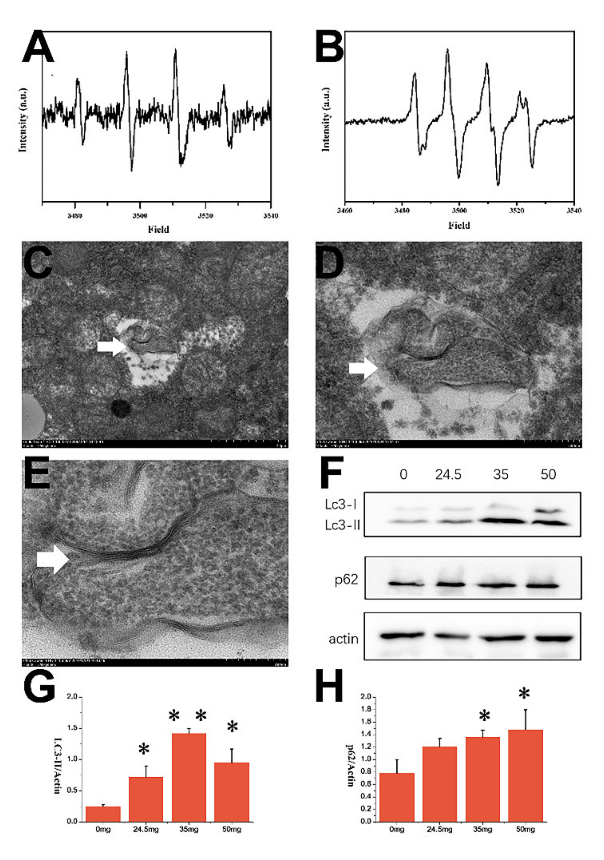 Nanomaterials 11 02081 g009