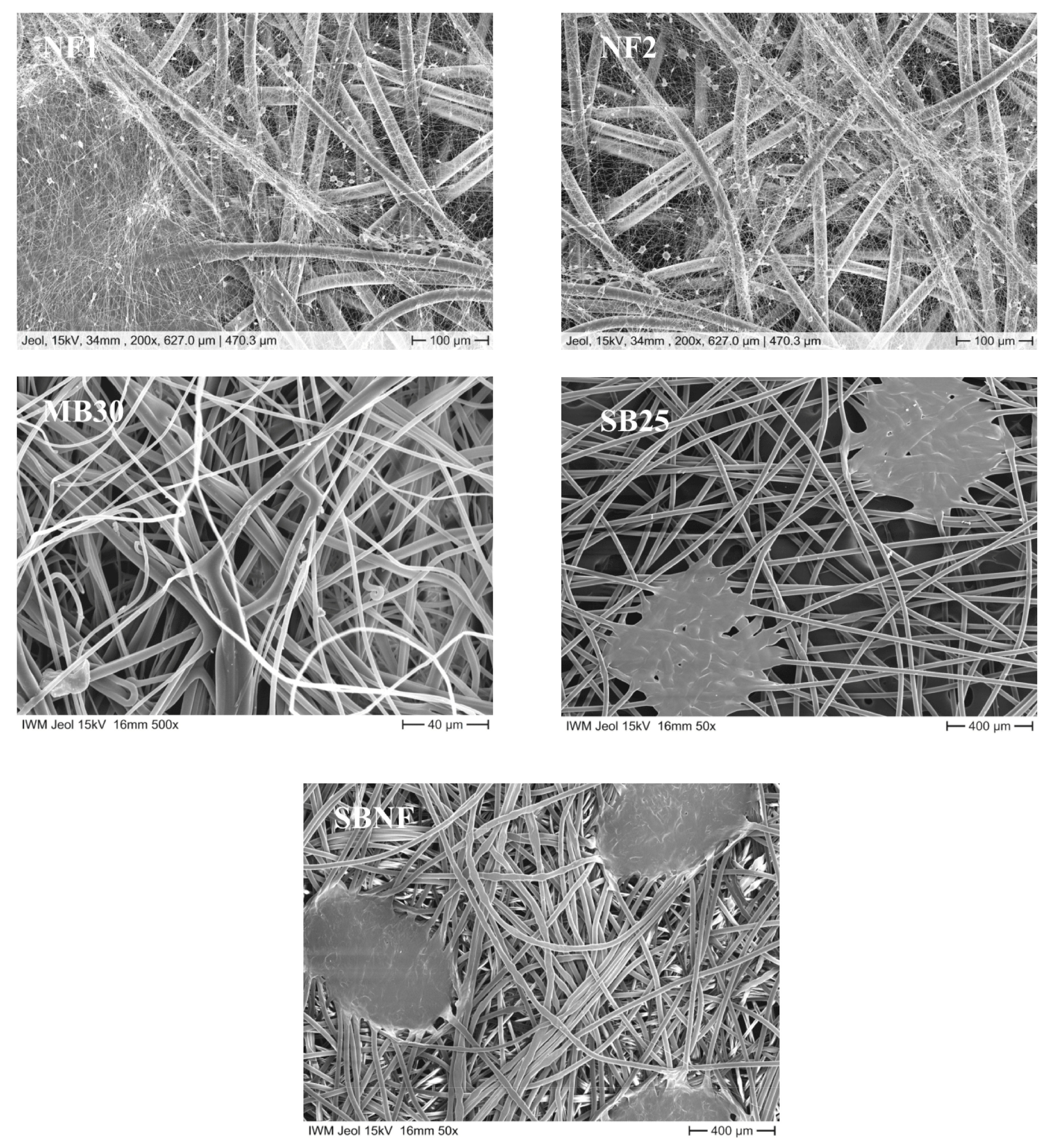 Nanomaterials 11 02088 g001