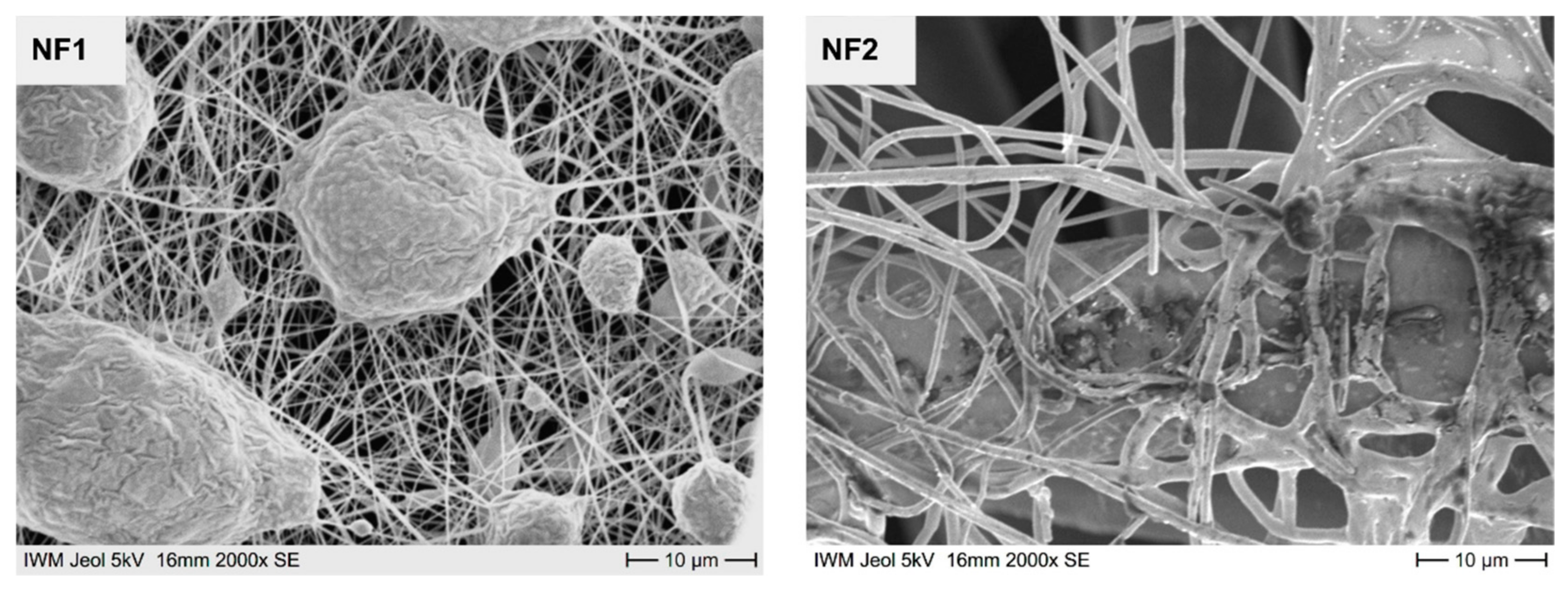 Nanomaterials 11 02088 g004