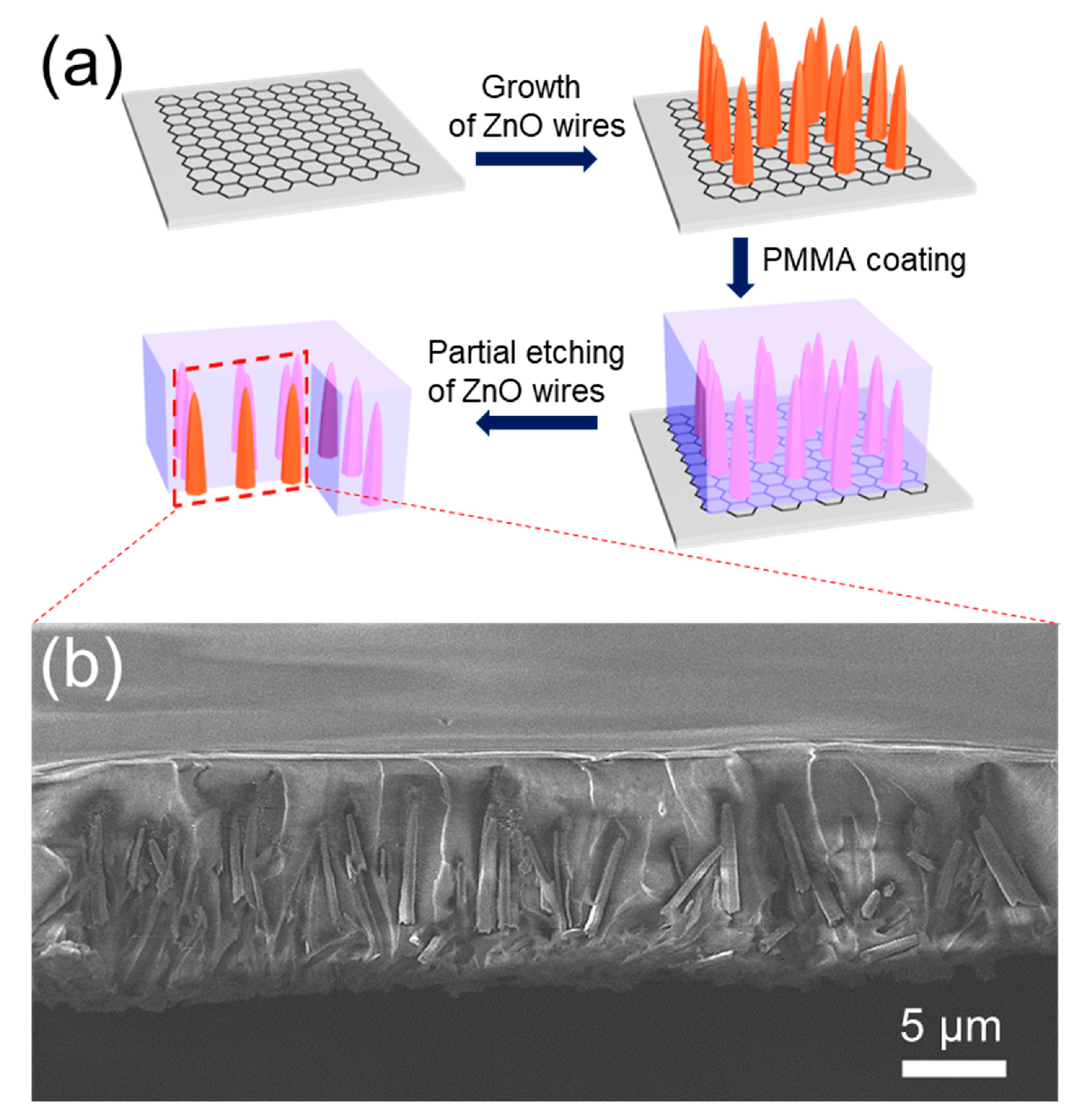 Nanomaterials 11 02093 g003 Nanomaterials 11 02093 g003