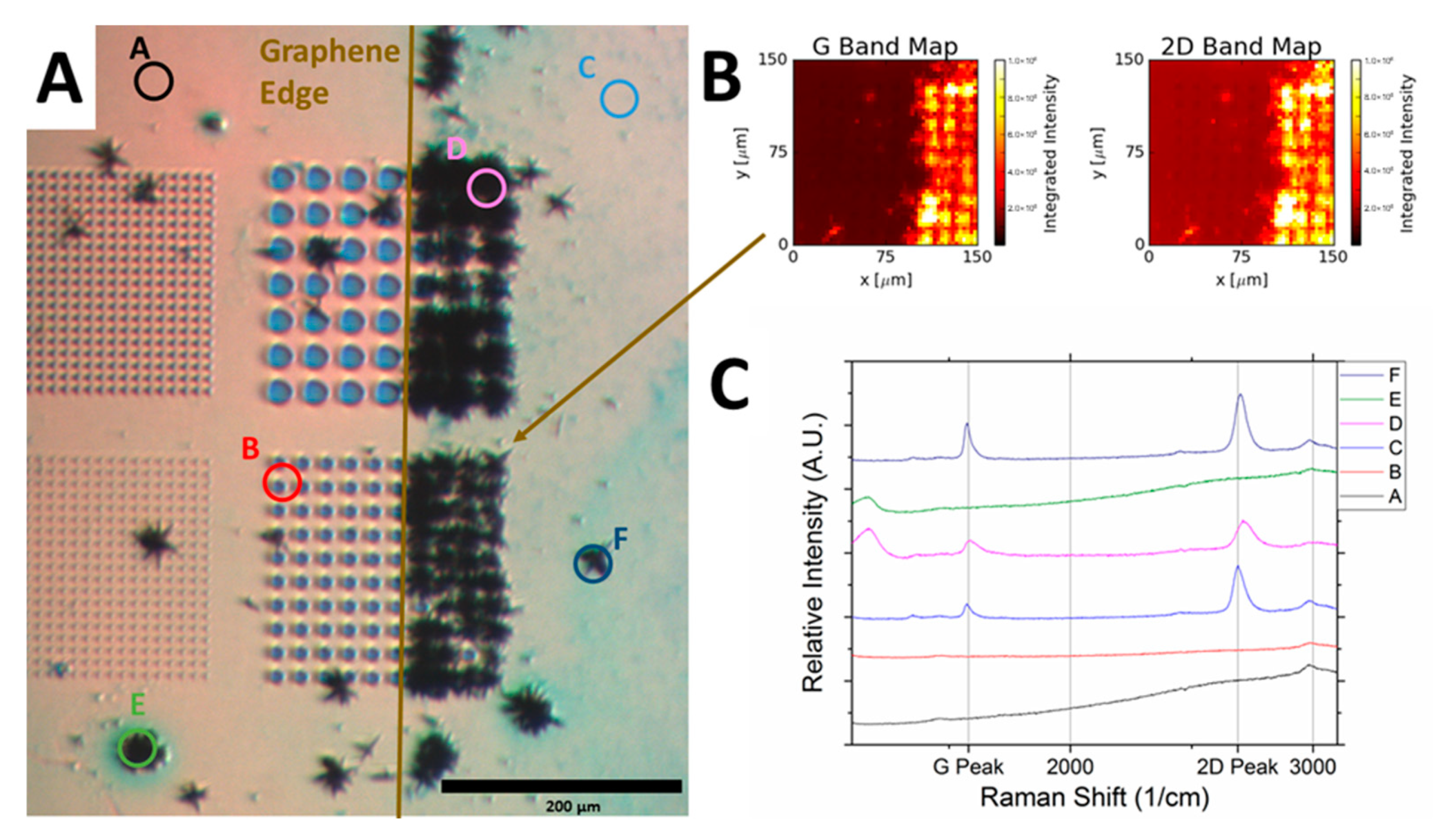 Nanomaterials 11 02093 g005 Nanomaterials 11 02093 g005